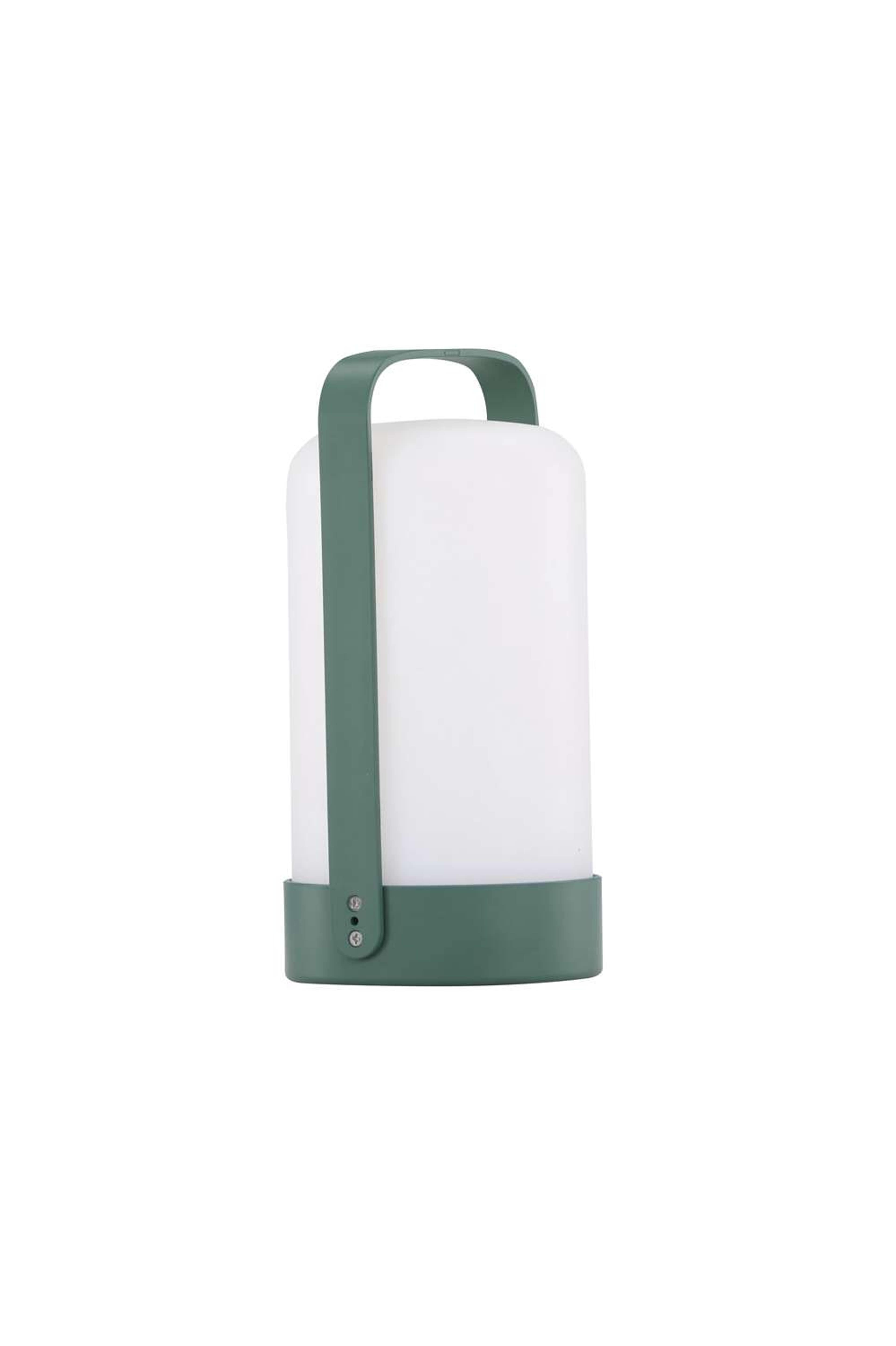 Fern Bordslampa