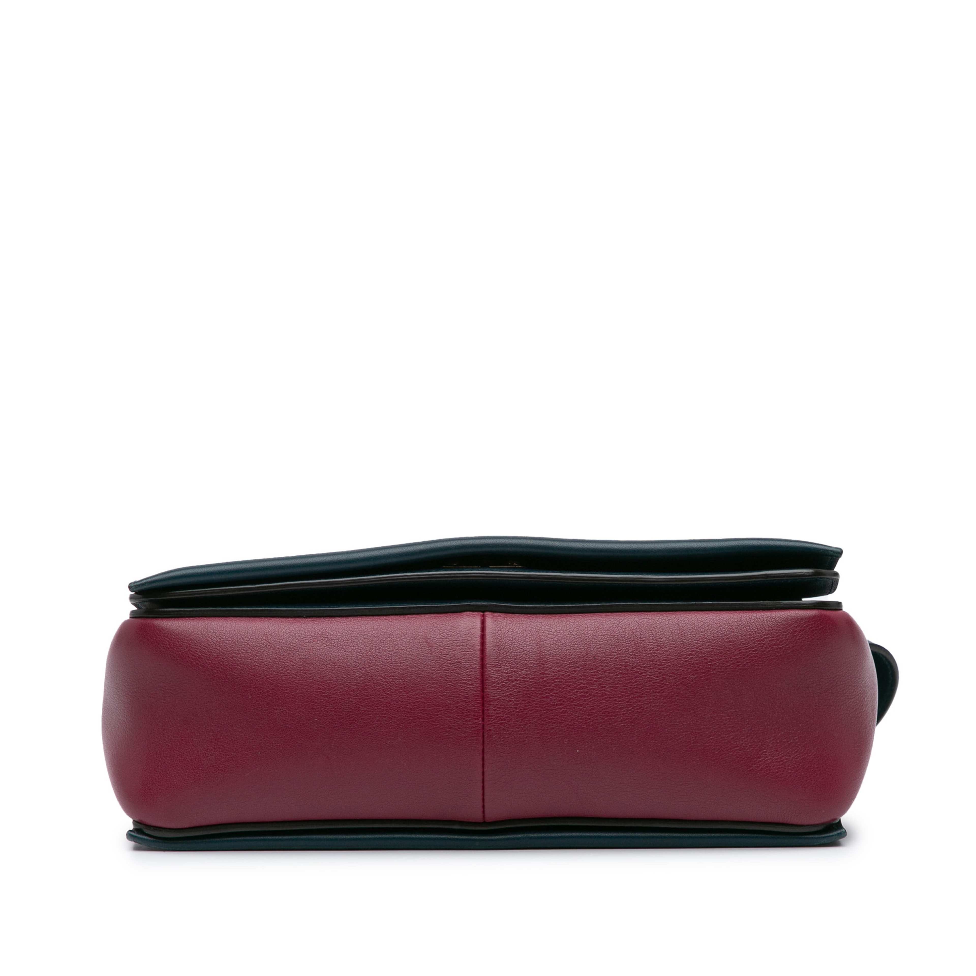 Celine Leather Frame Shoulder Bag