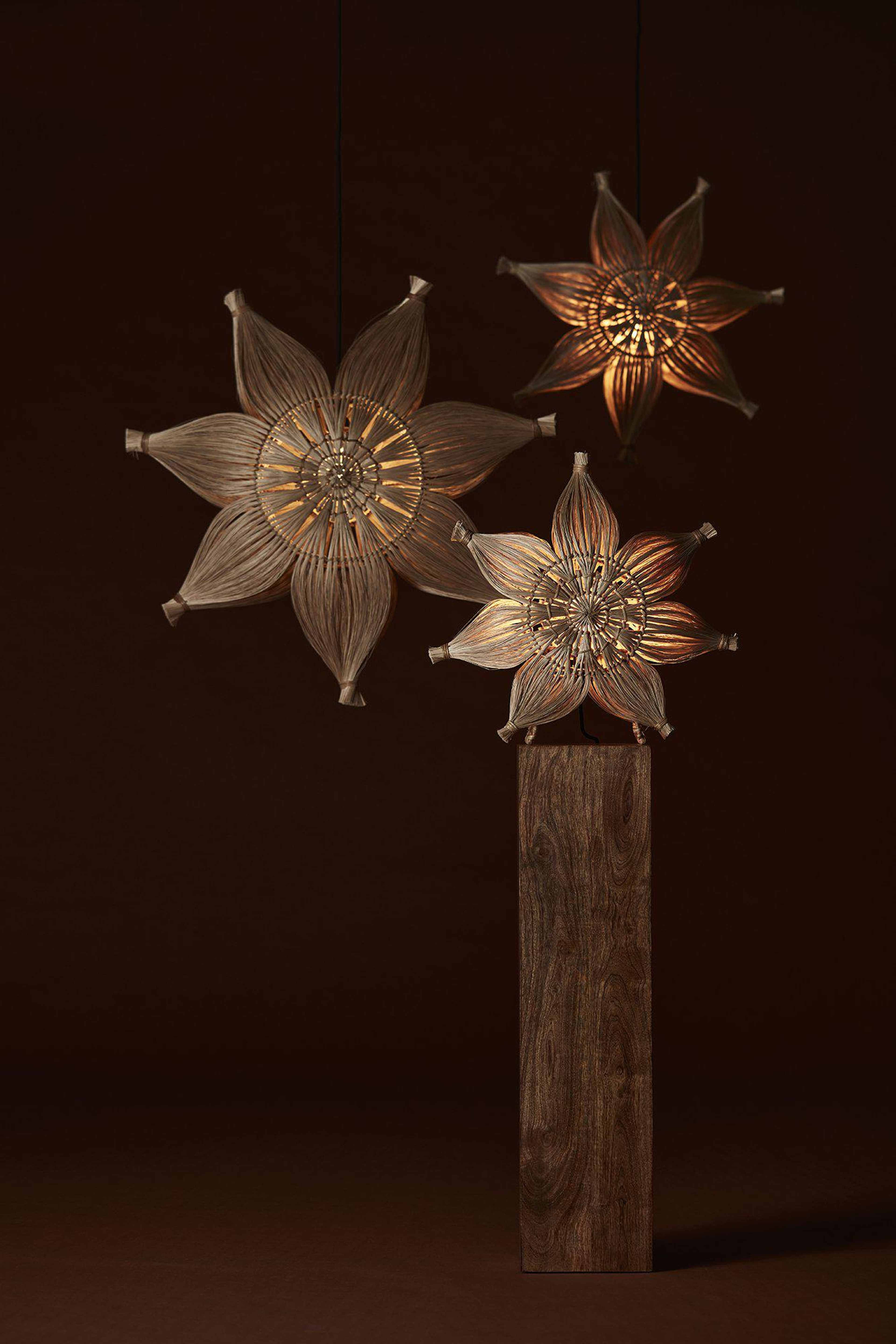 Agnes Bordsstjärna 47cm