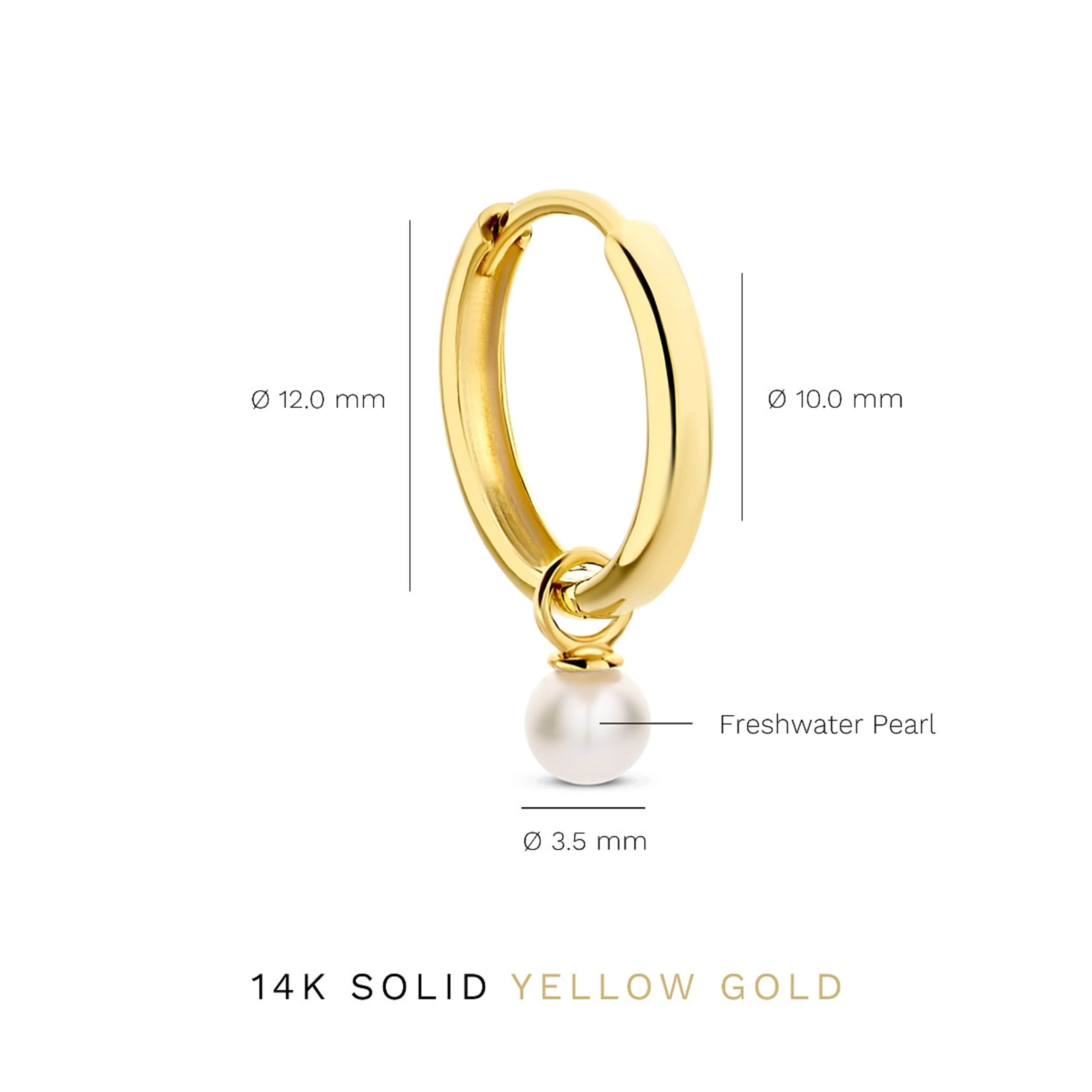Belleville 14 Karat Guld Creoler