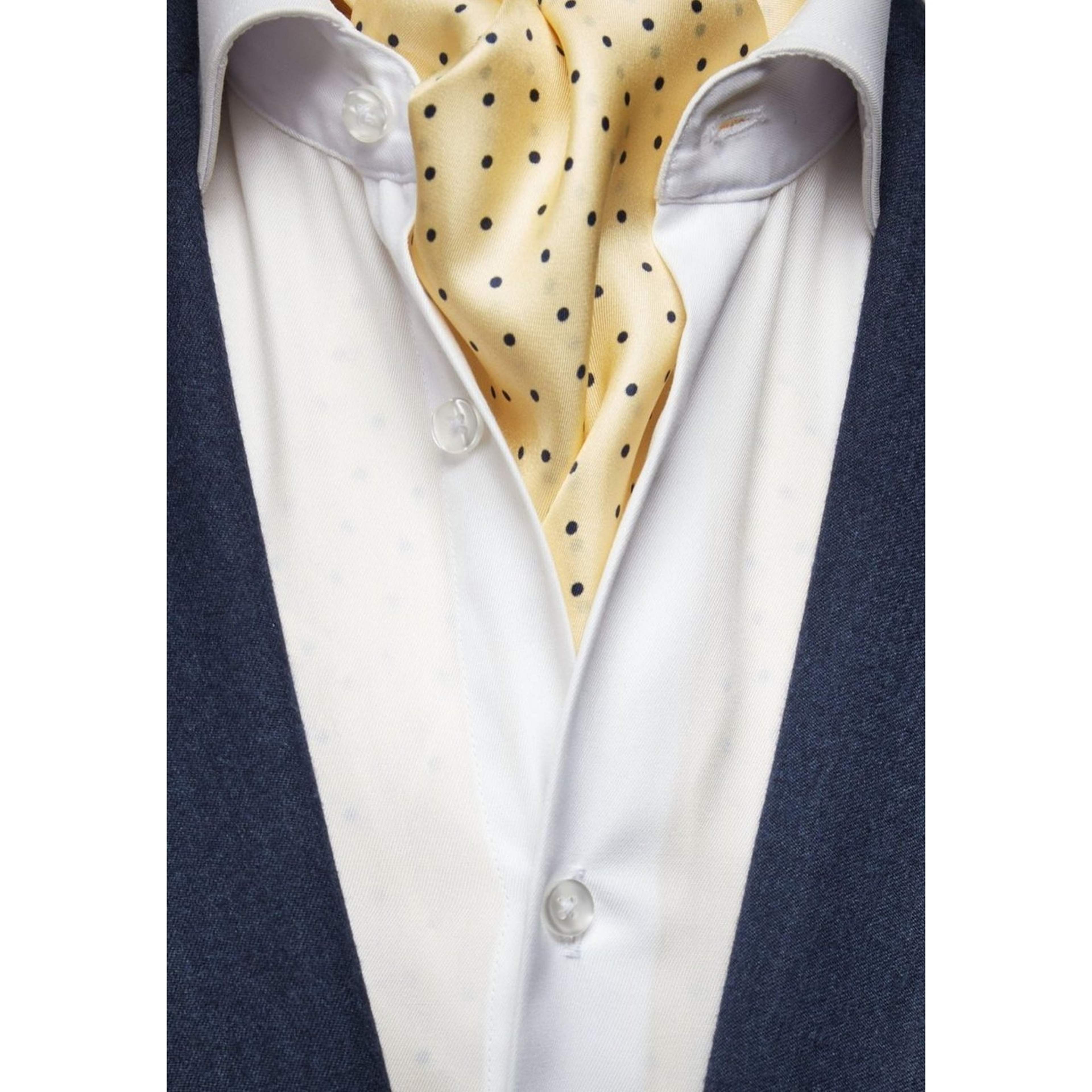 Silk Double Pointed Ascot Dot