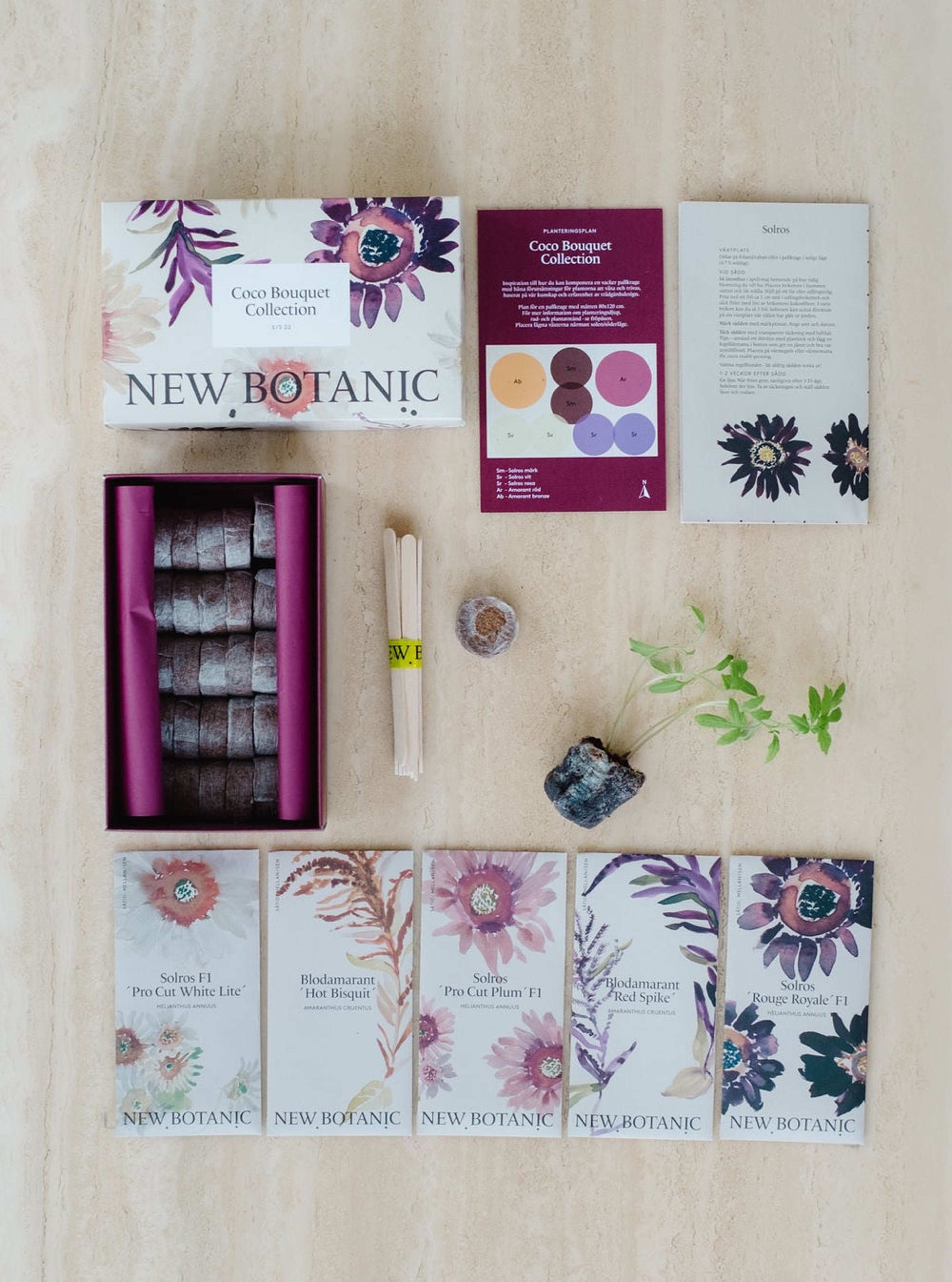 Primadonna Flower Collection, från New Botanic, i färgen multi. Klicka för att öppna bilden i stort format