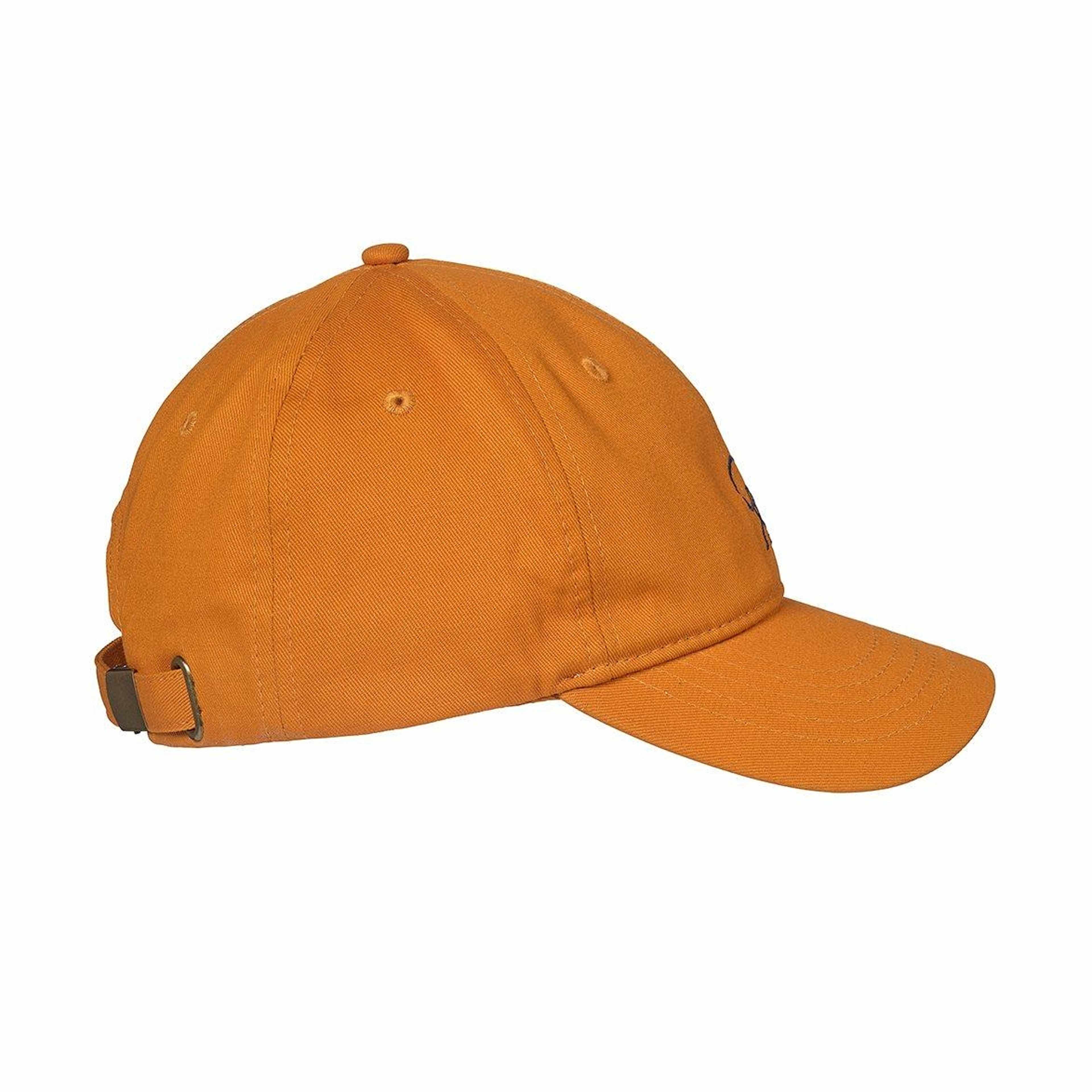 Isbjörn Playoff Baseball Cap