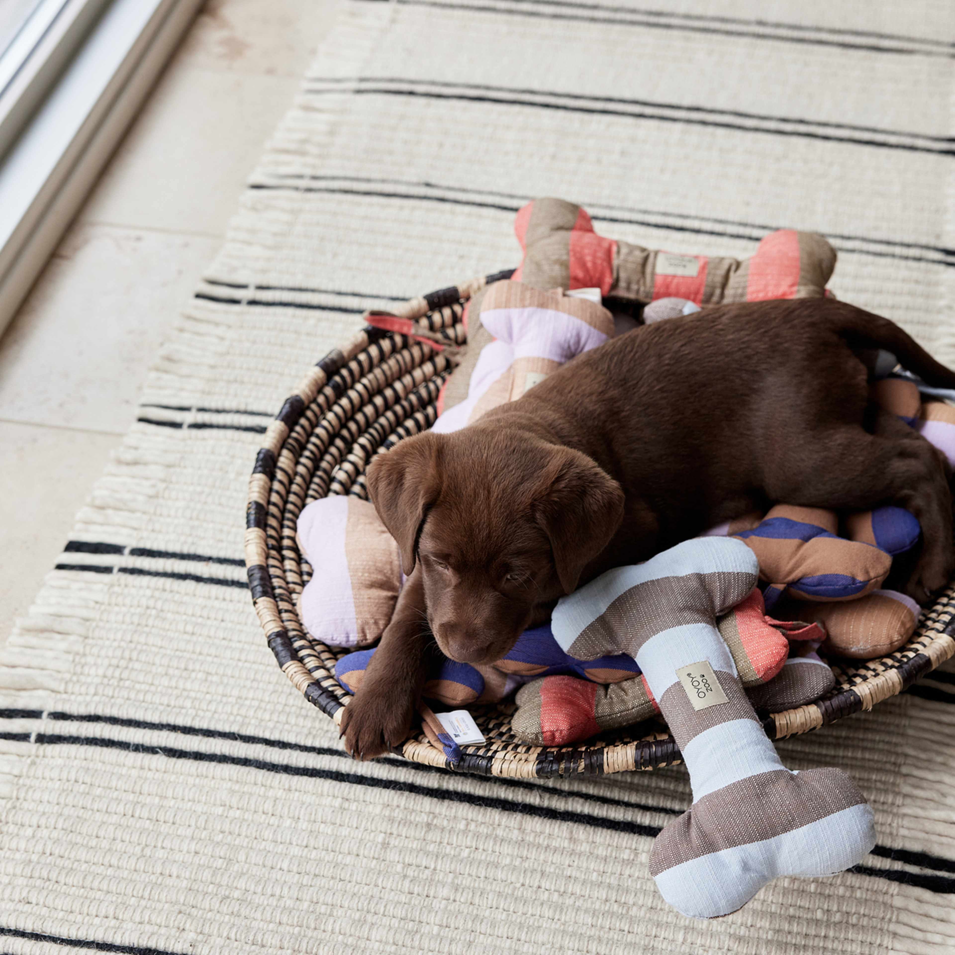 Ashi Dog Toy, från OYOY Living, i färgen caramel. Klicka för att öppna bilden i stort format