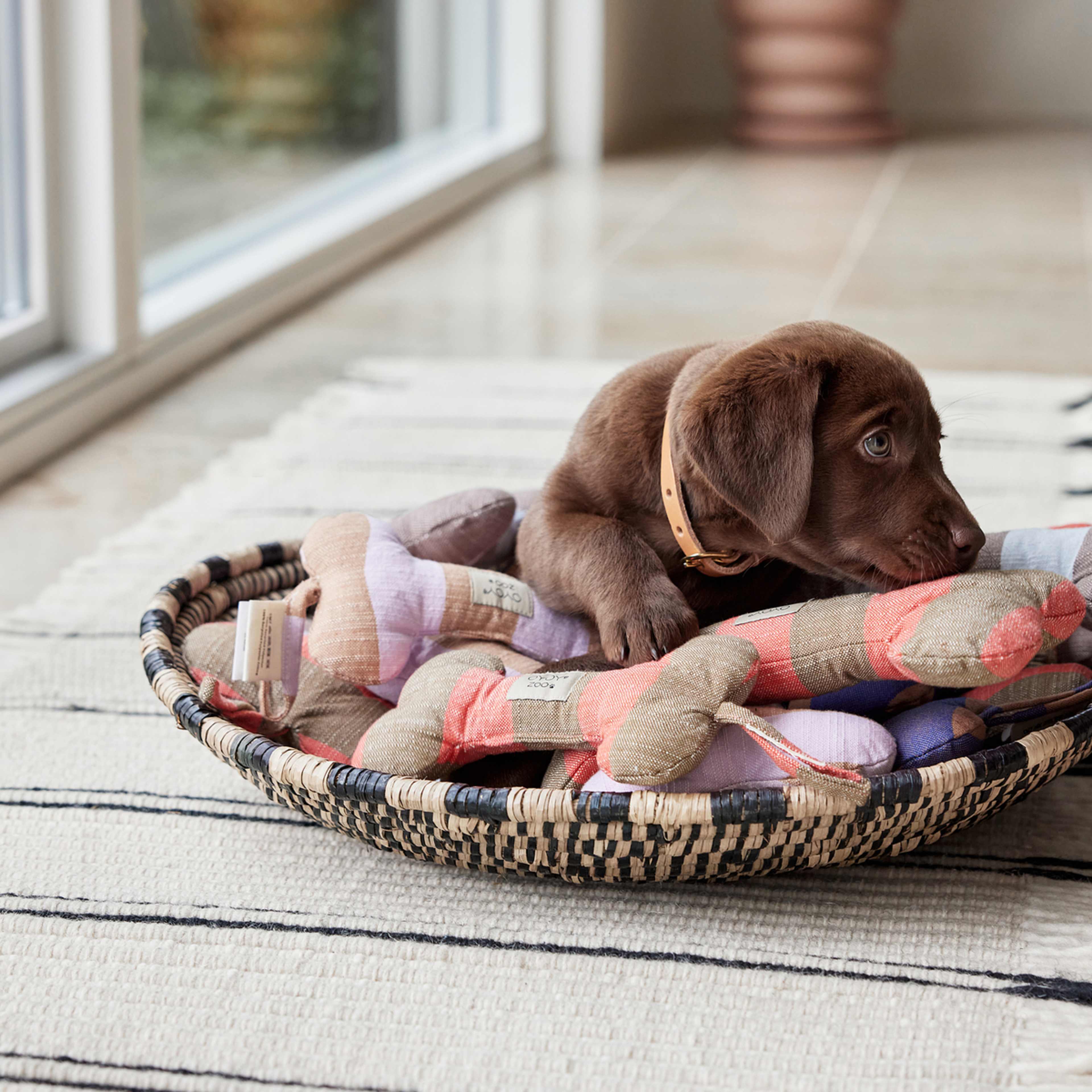 Ashi Dog Toy, från OYOY Living, i färgen caramel. Klicka för att öppna bilden i stort format