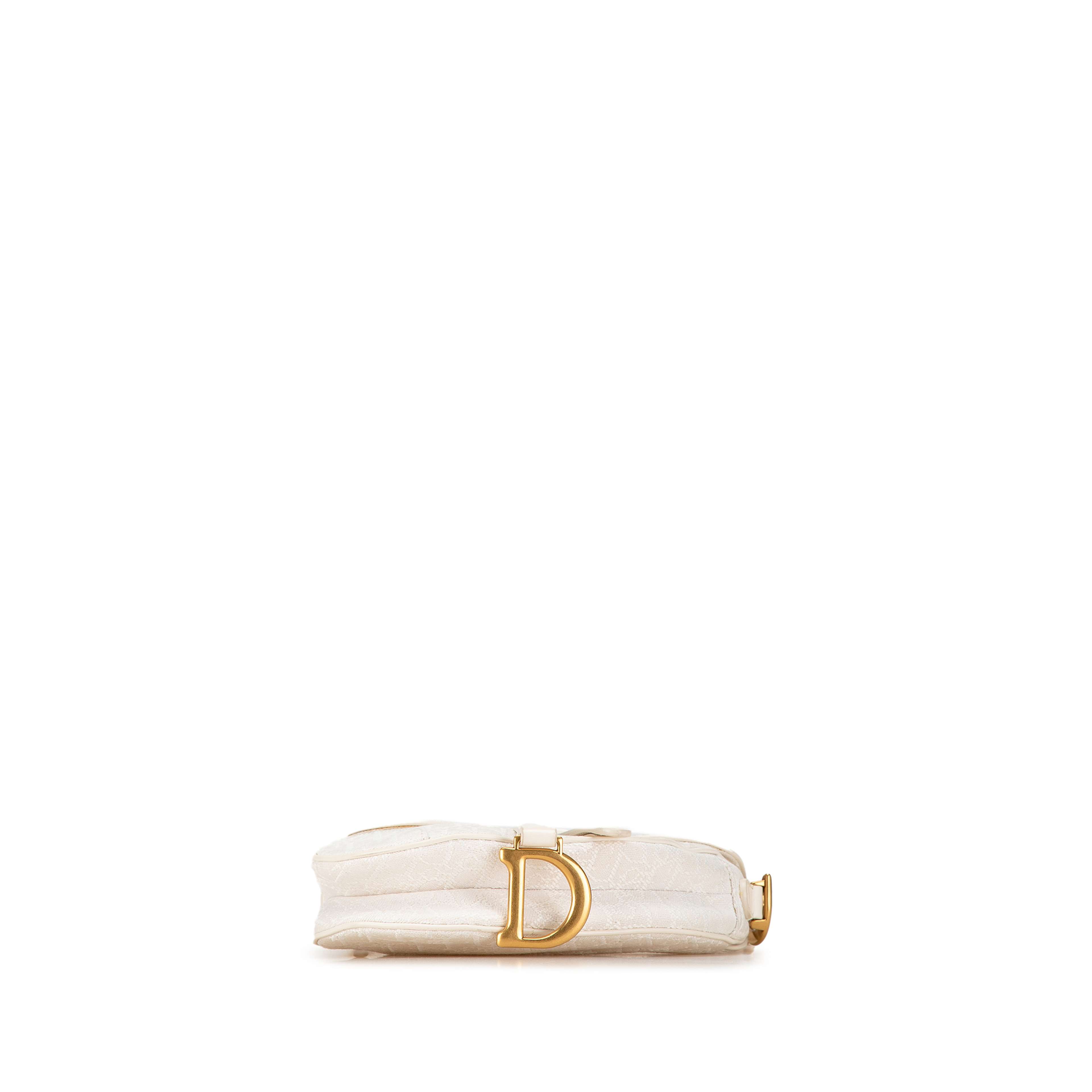 Dior Mini Oblique Saddle Bag