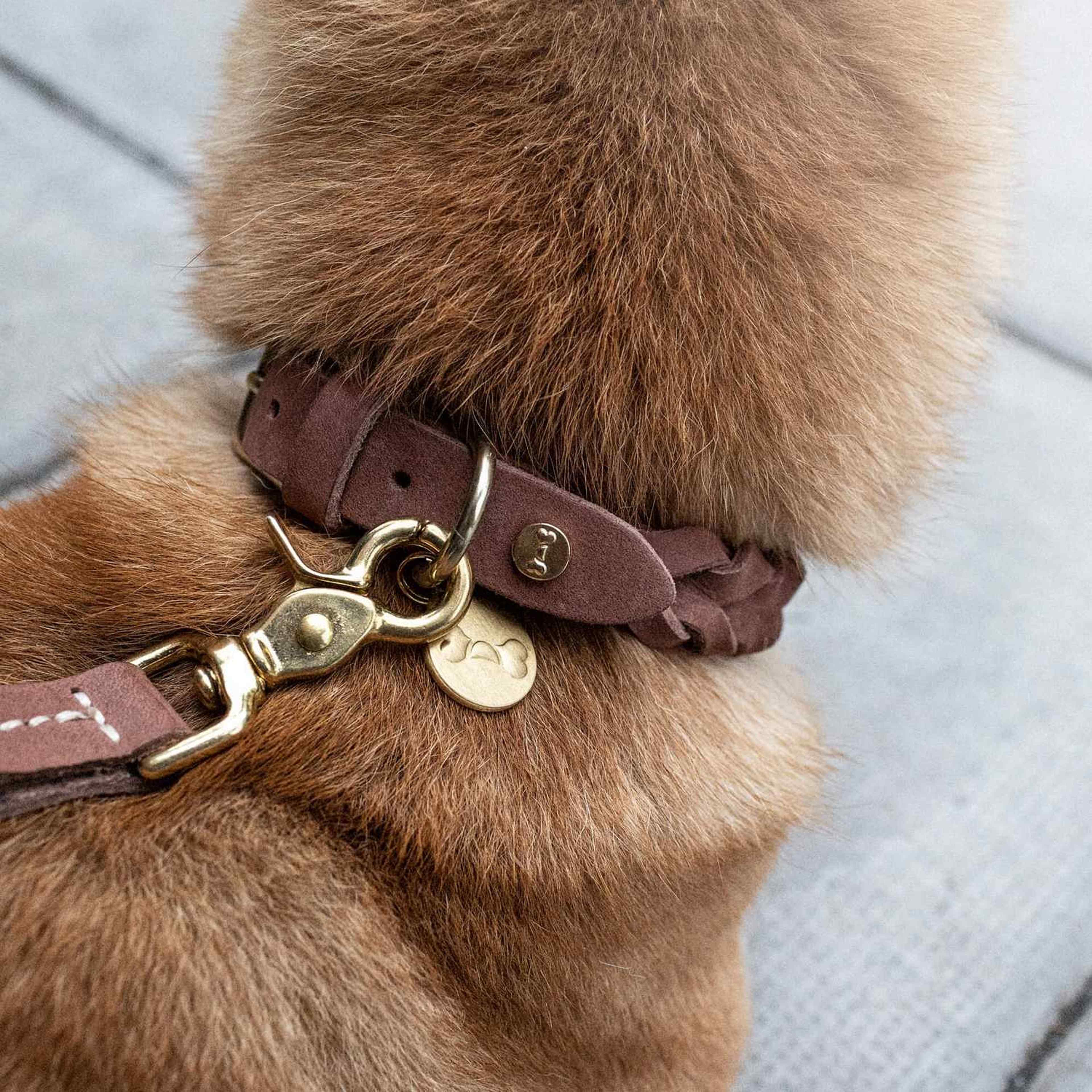 Hundhalsband Stockholm Läder