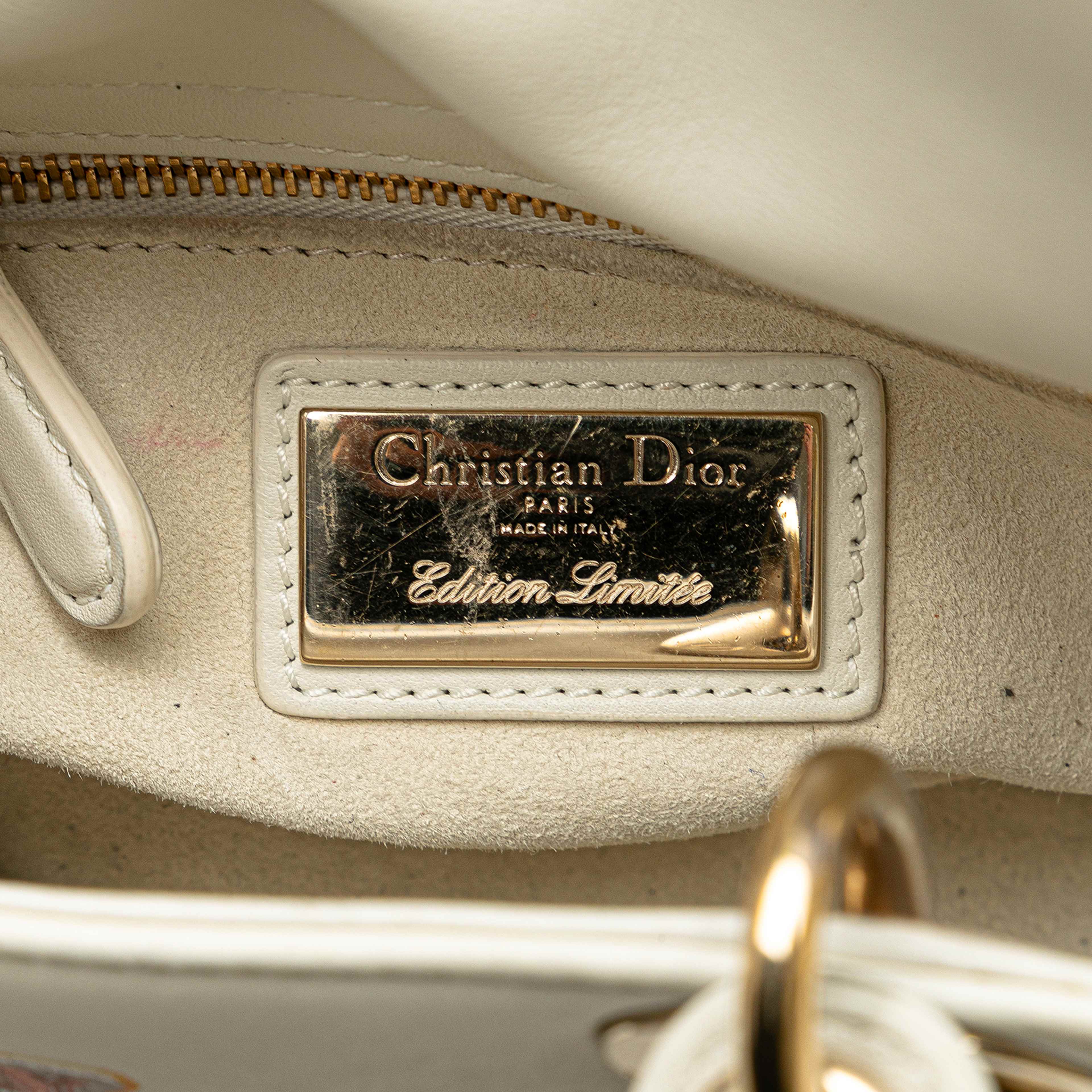 Dior Niki De Saint Phalle Mini Calfskin Dioramour Lady Dior