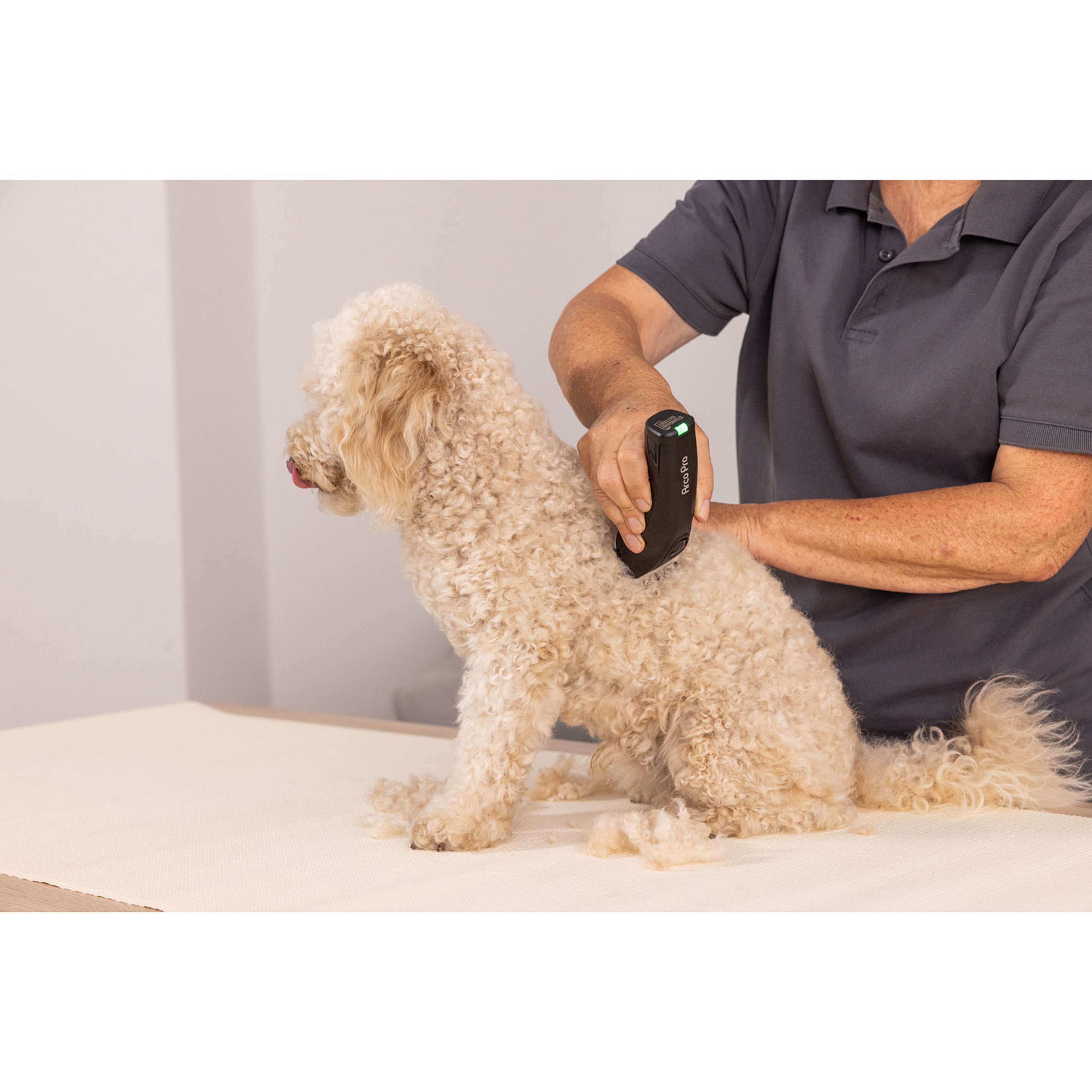 Pälstrimmer Sladdlös Arcopro Clipper, från Wahl, i färgen svart. Klicka för att öppna bilden i stort format