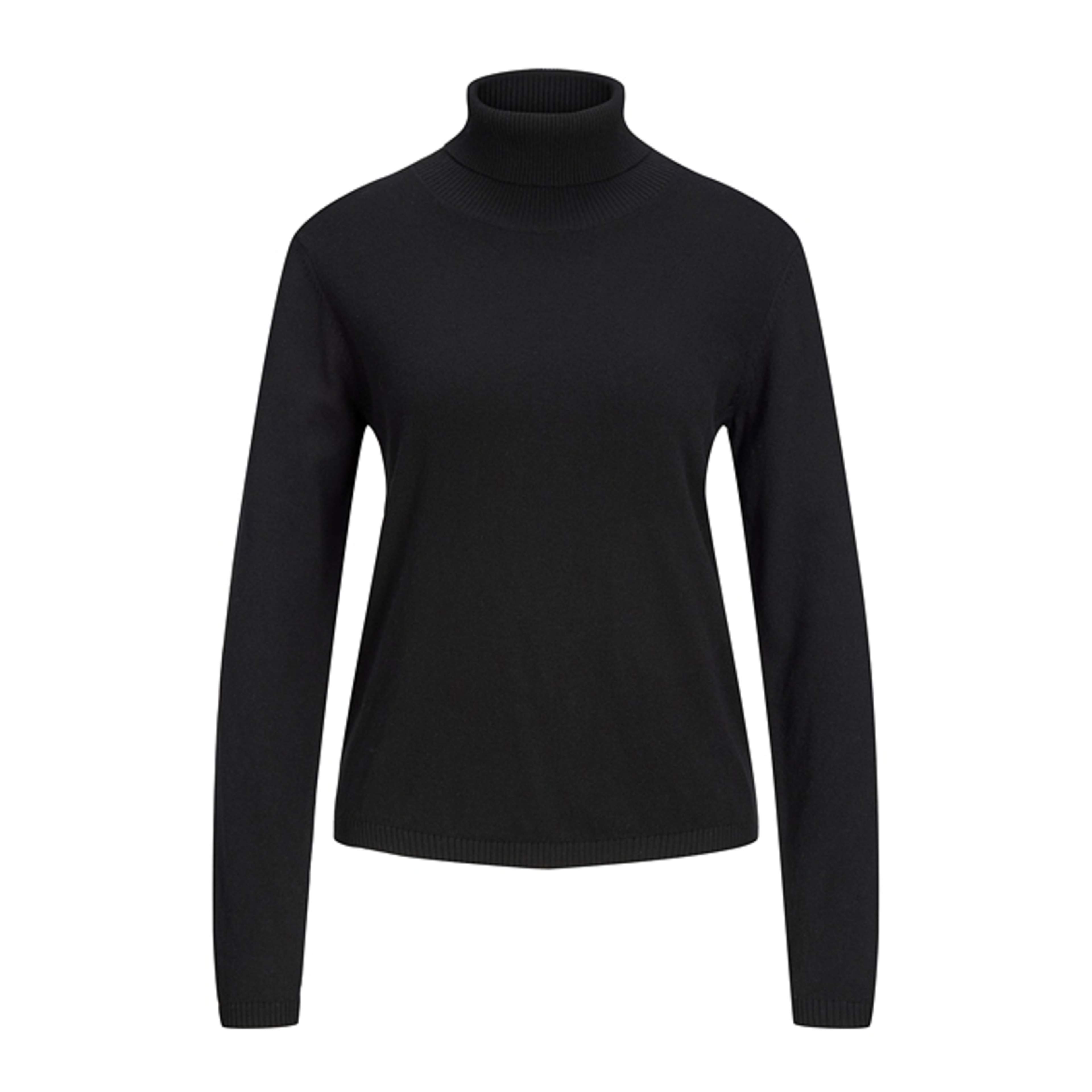Basic Knit Roll Neck