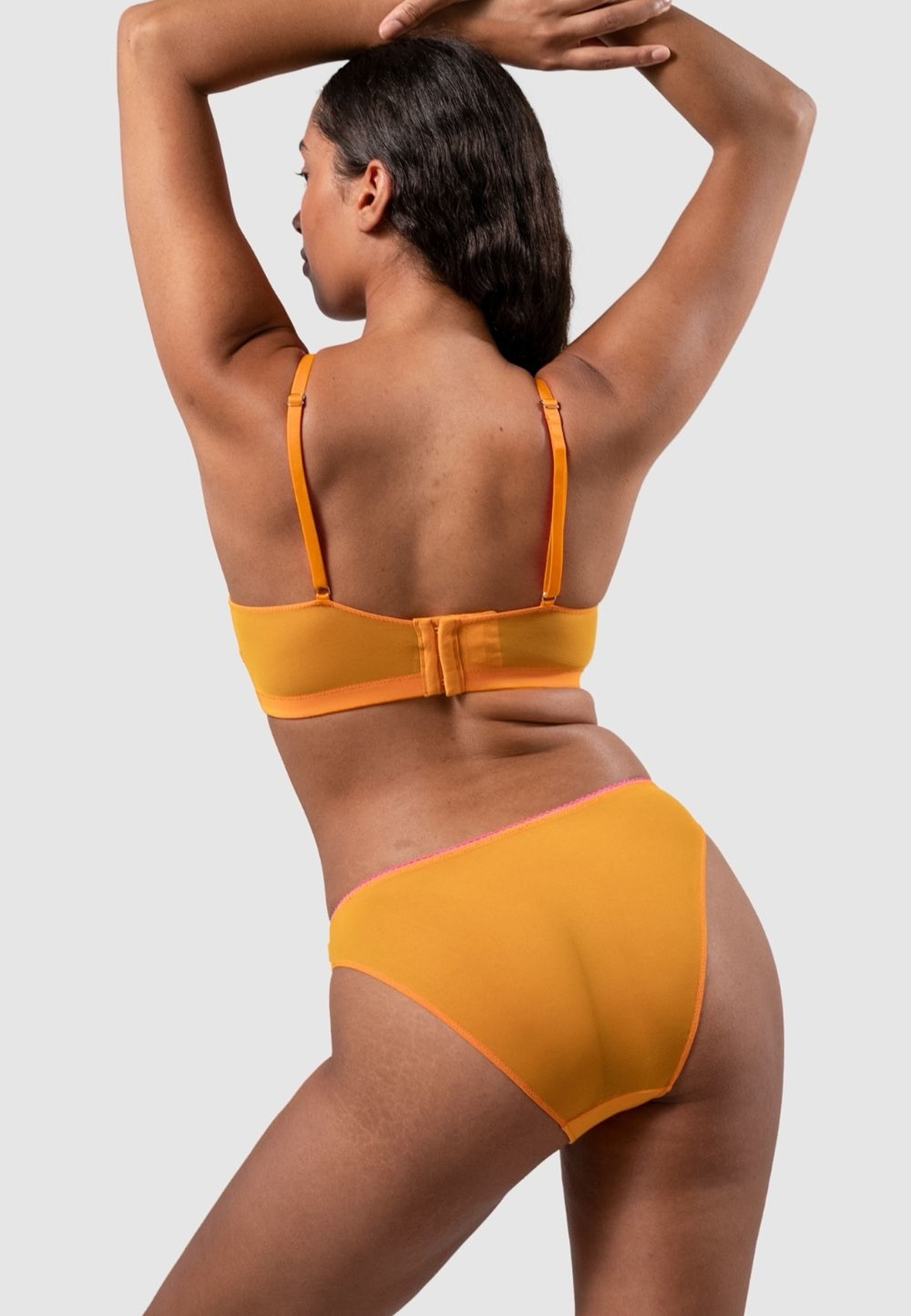 Mesh Bikini Briefs