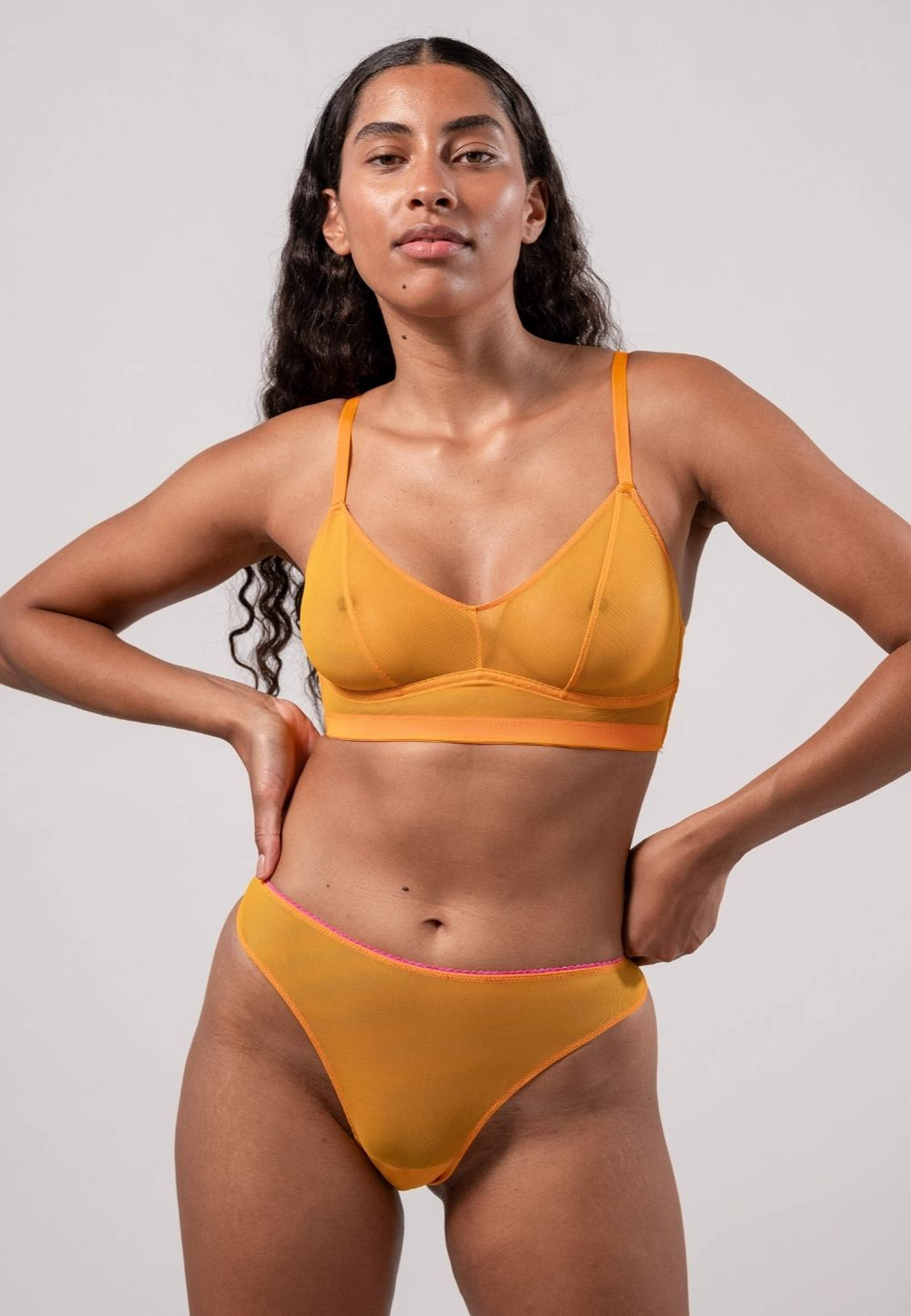Mesh Bikini Briefs