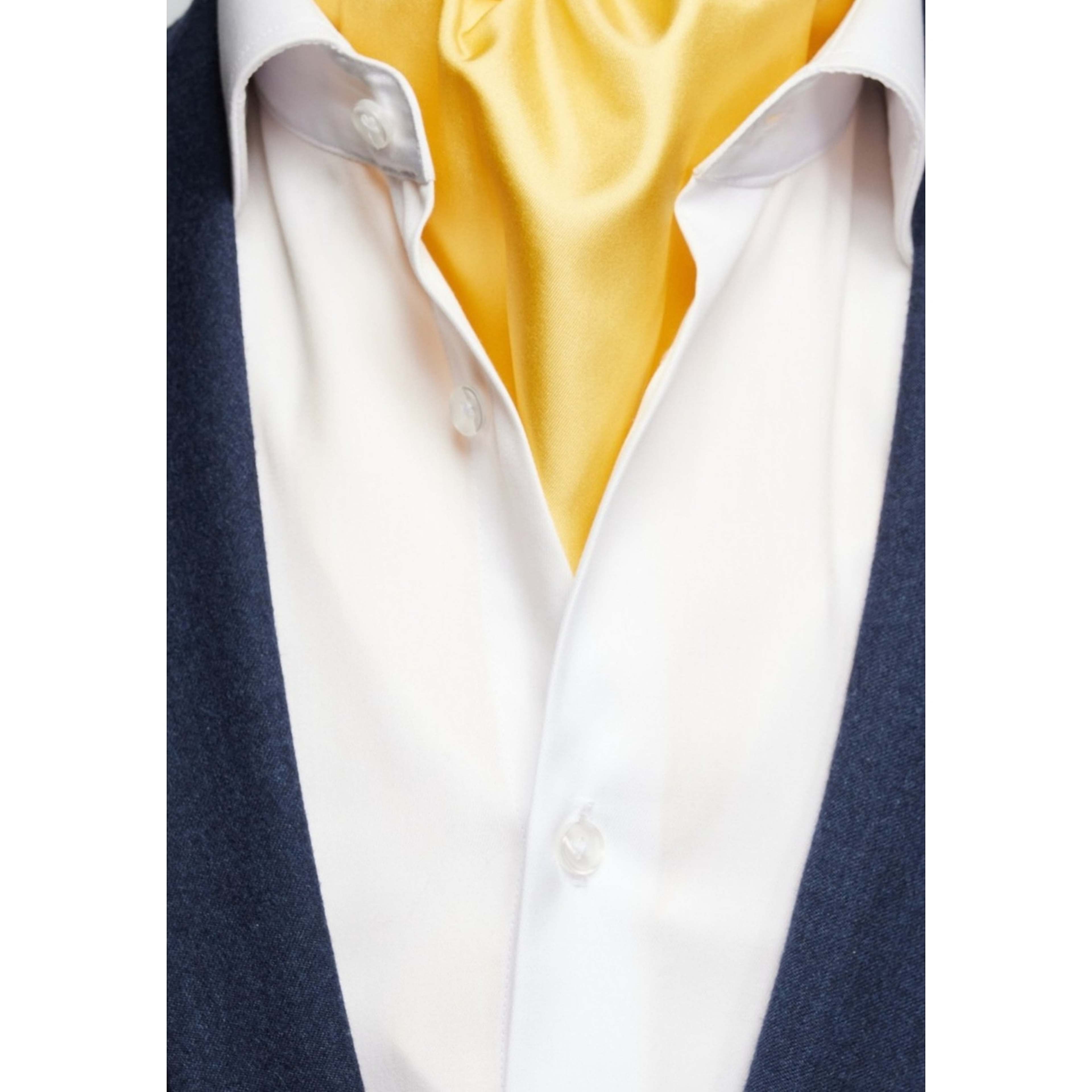 Silk Single Pointed Ascot Plain