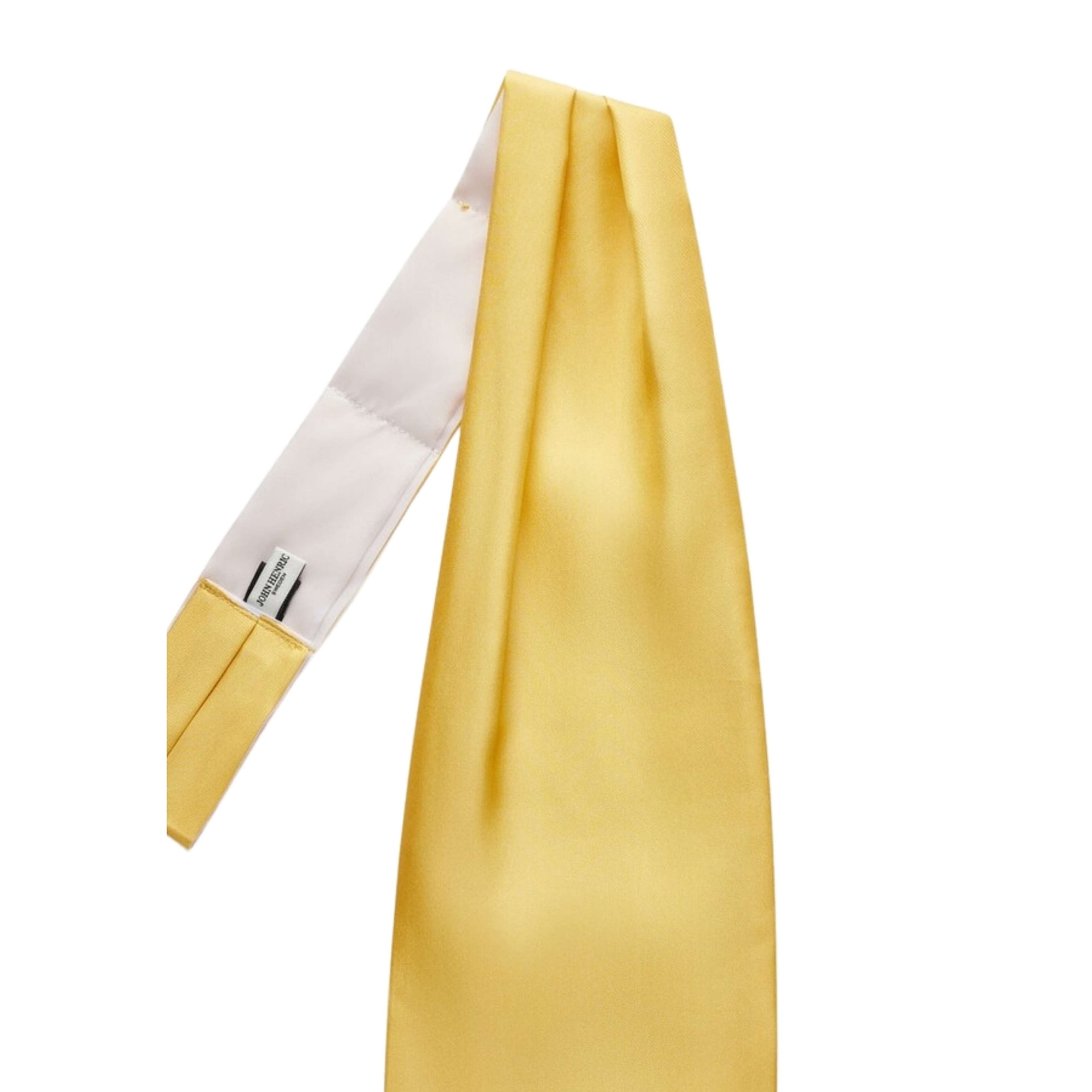 Silk Single Pointed Ascot Plain