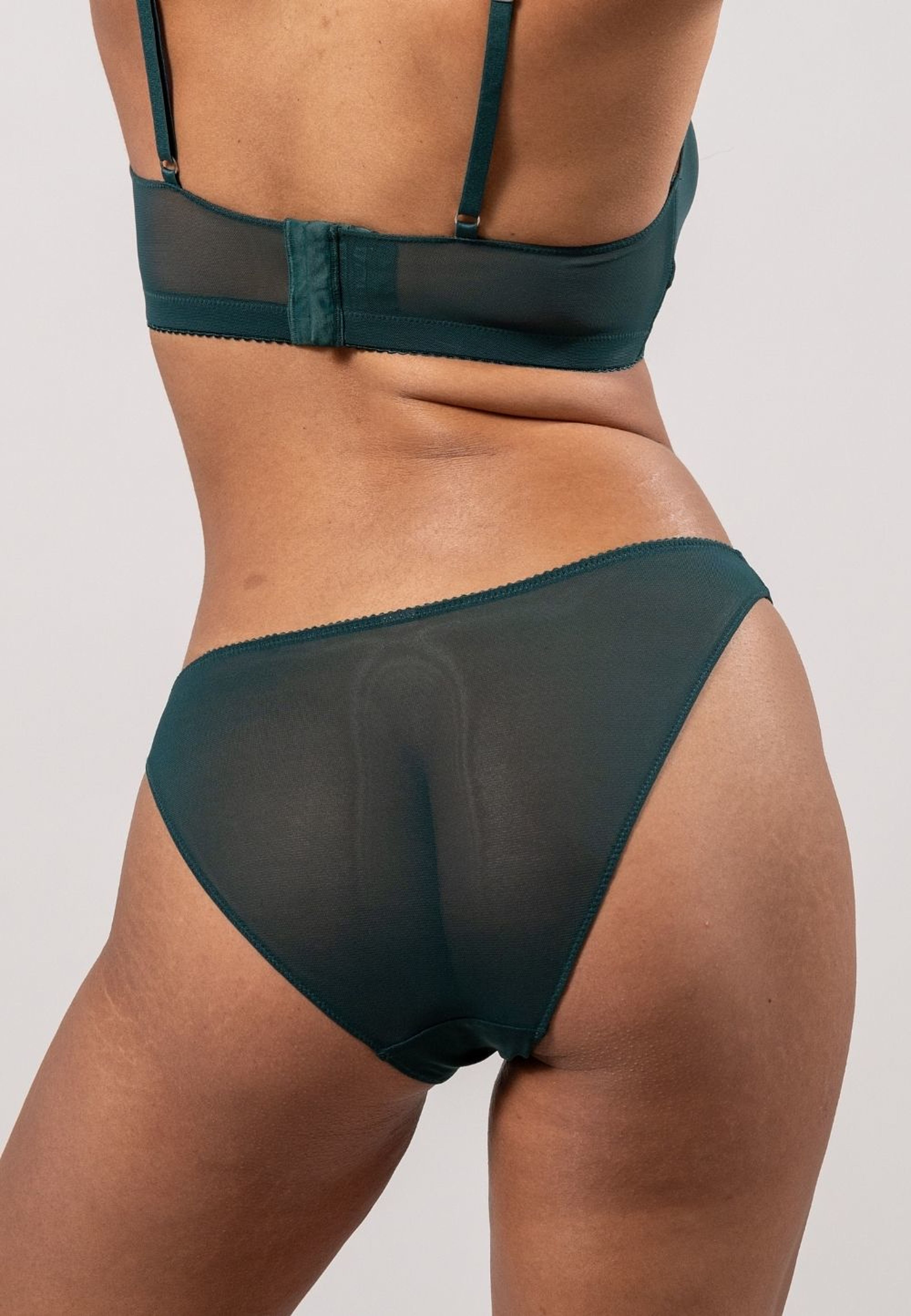 Mesh Bikini Briefs