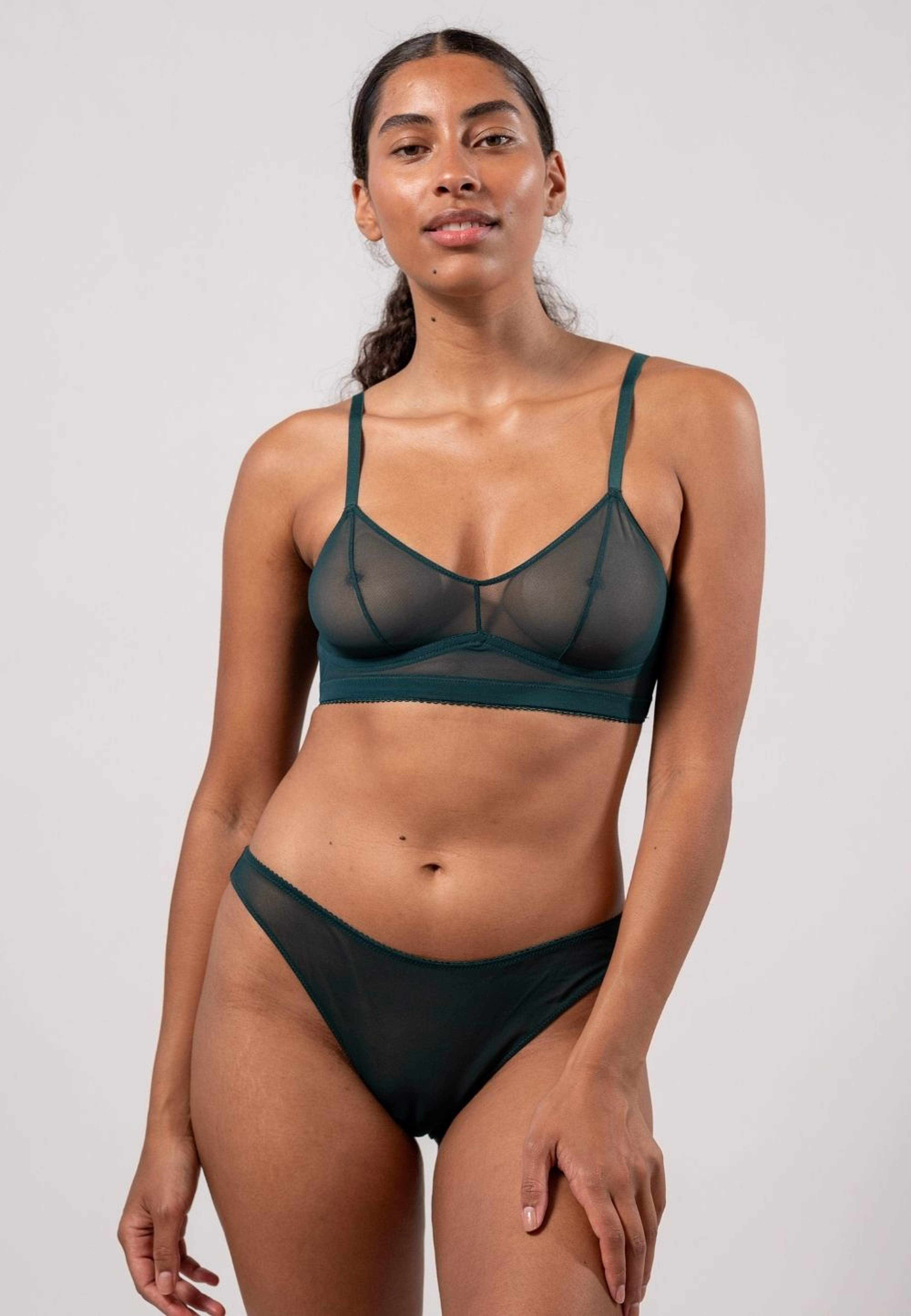 Mesh Bikini Briefs
