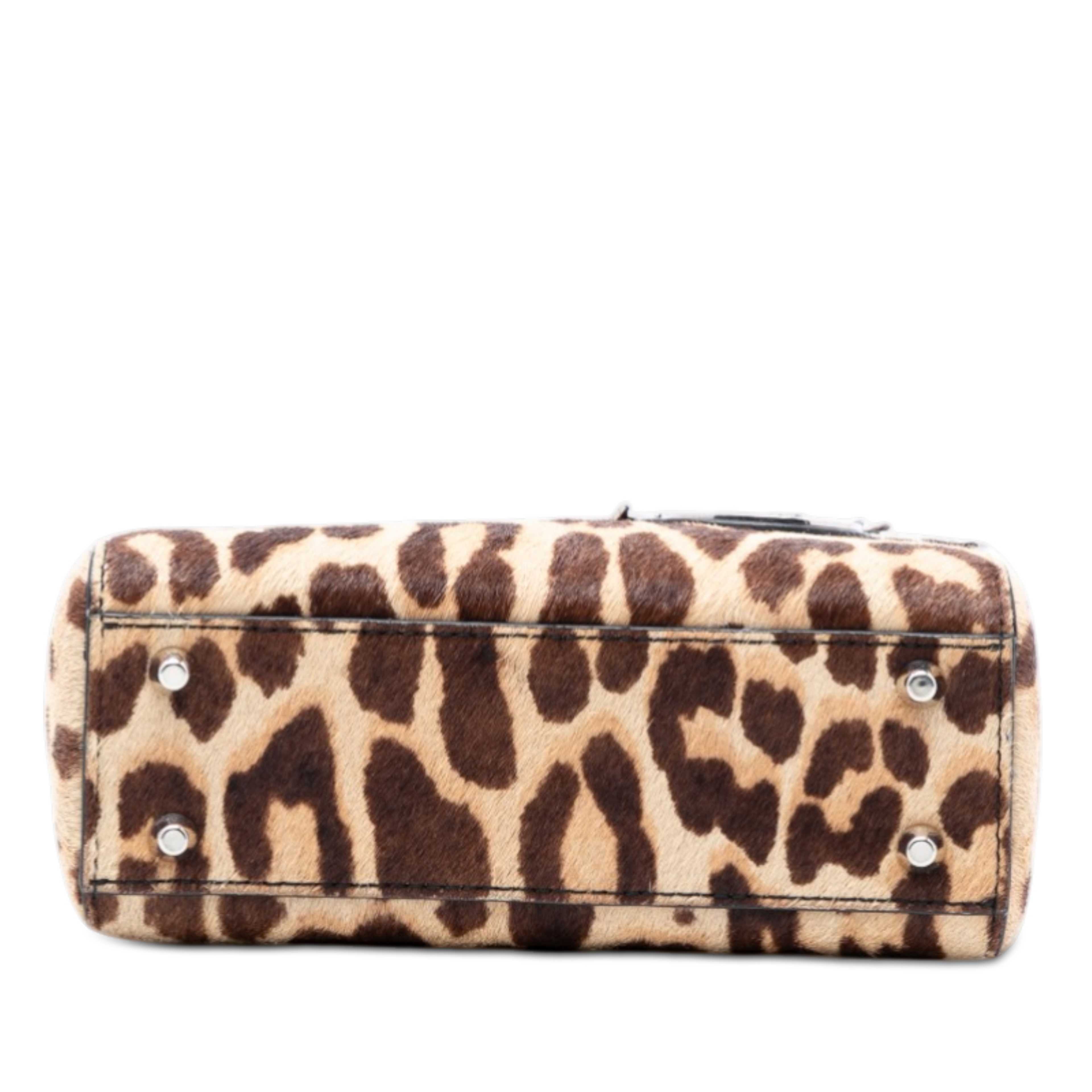 Dior Mini Pony Hair Leopard Print Lady Dior, från Luxclusif, i färgen beige. Klicka för att öppna bilden i stort format