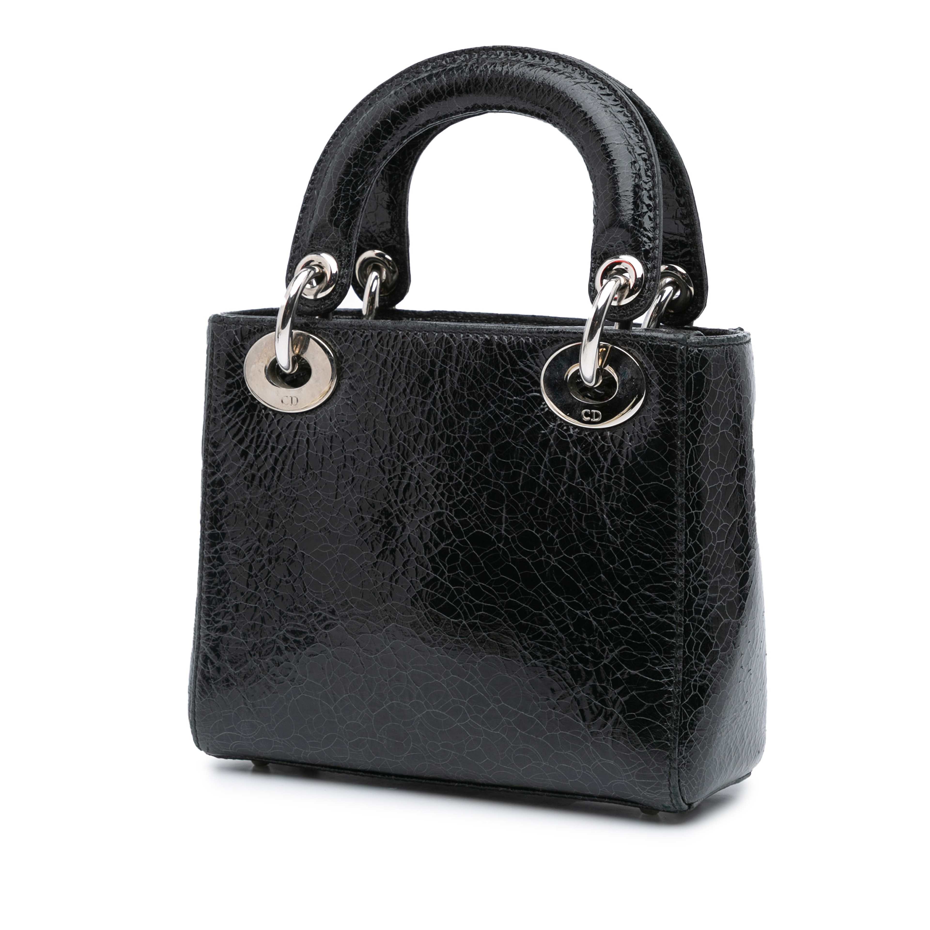 Dior Mini Ceramic Effect Deerskin Jeweled Swan Lady Dior