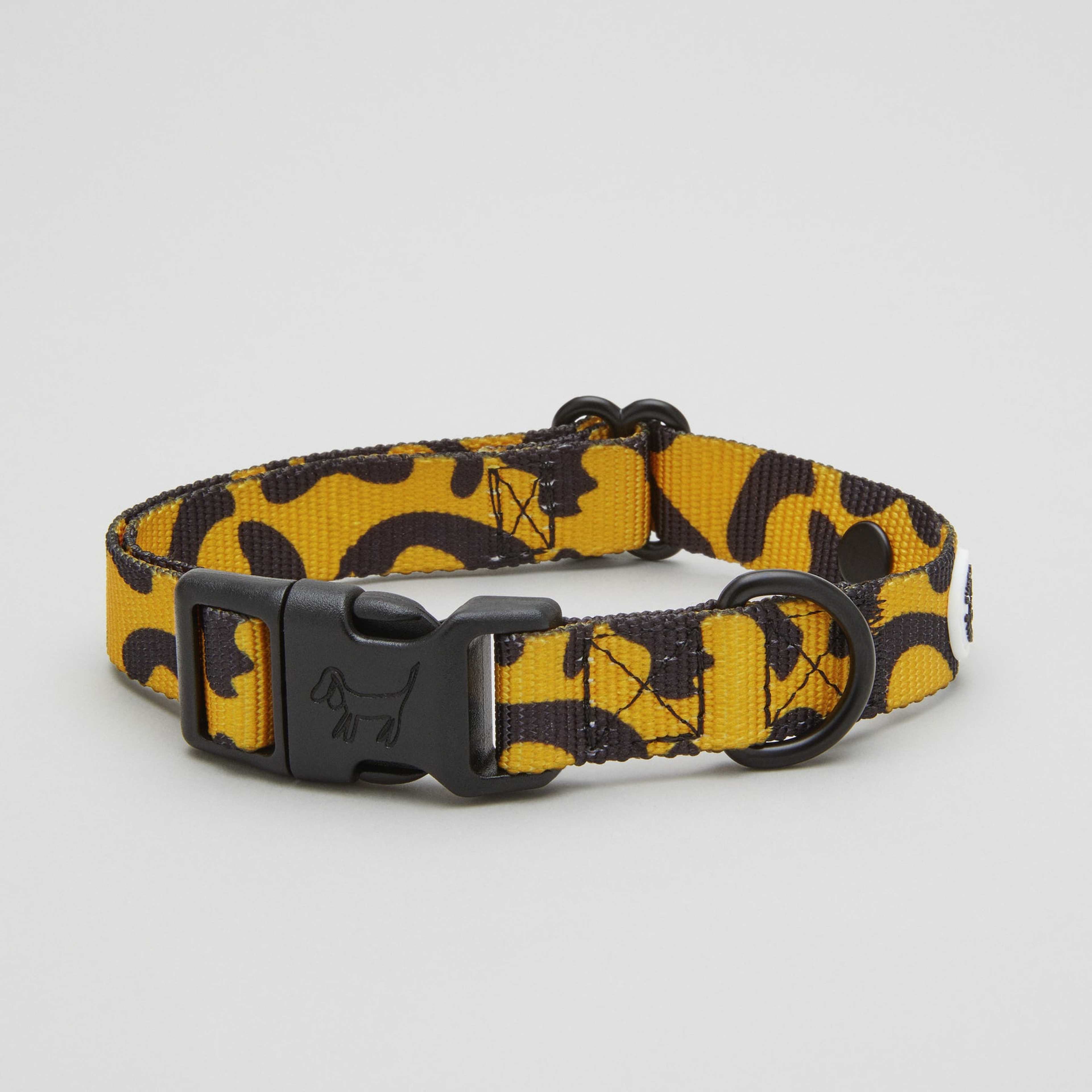 Leo Dog Collar Walk Kit - L