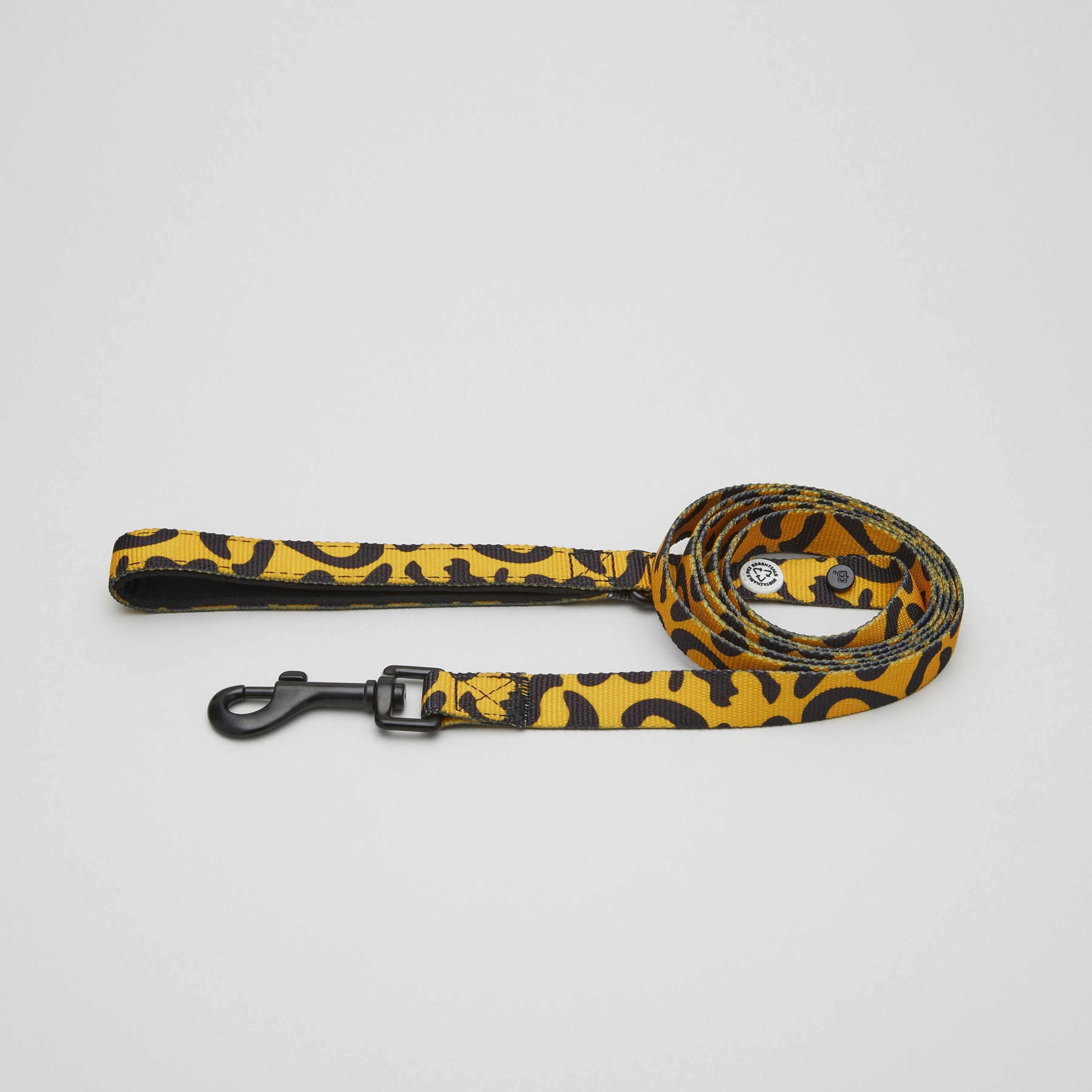 Leo Dog Collar Walk Kit - L