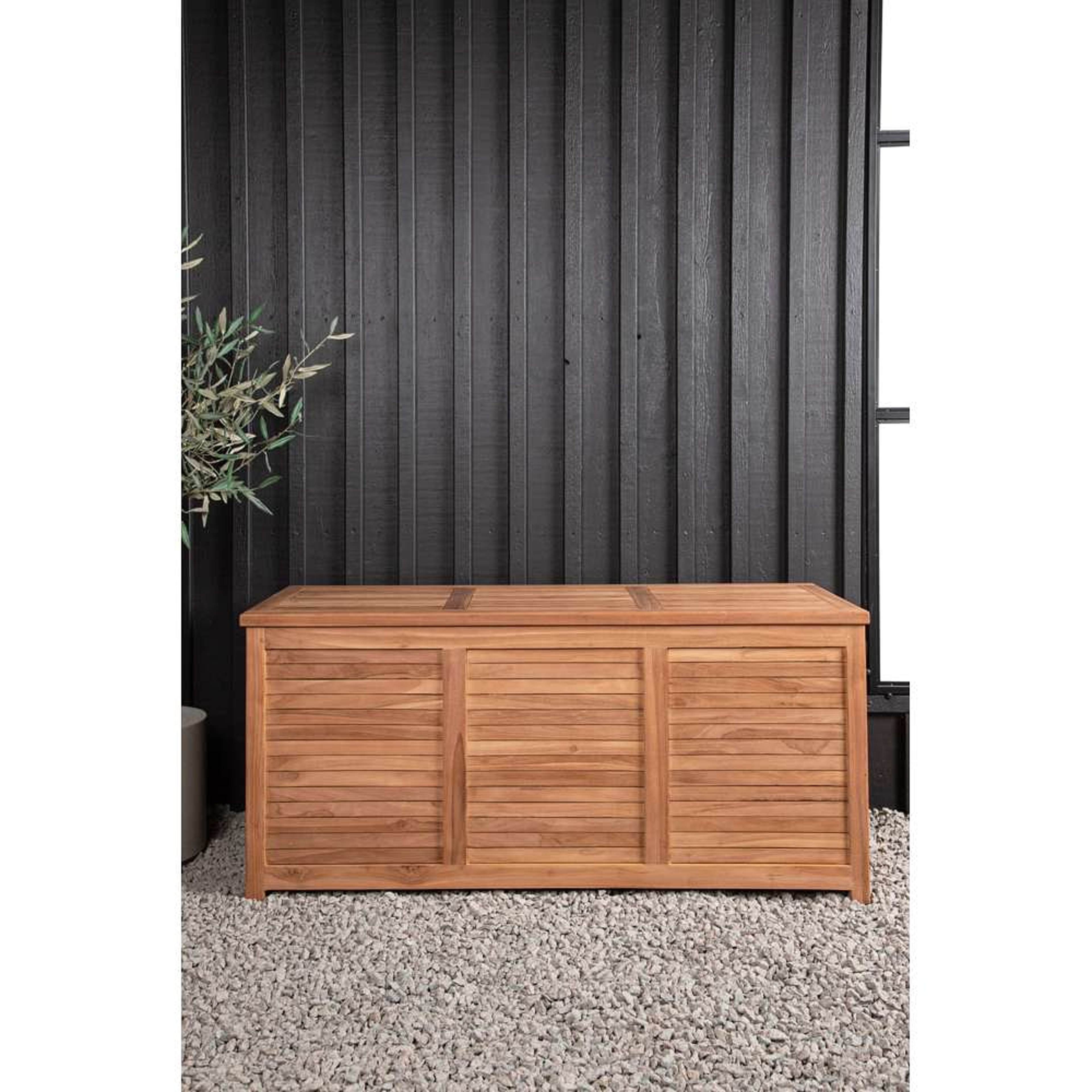 Trento Dynbox