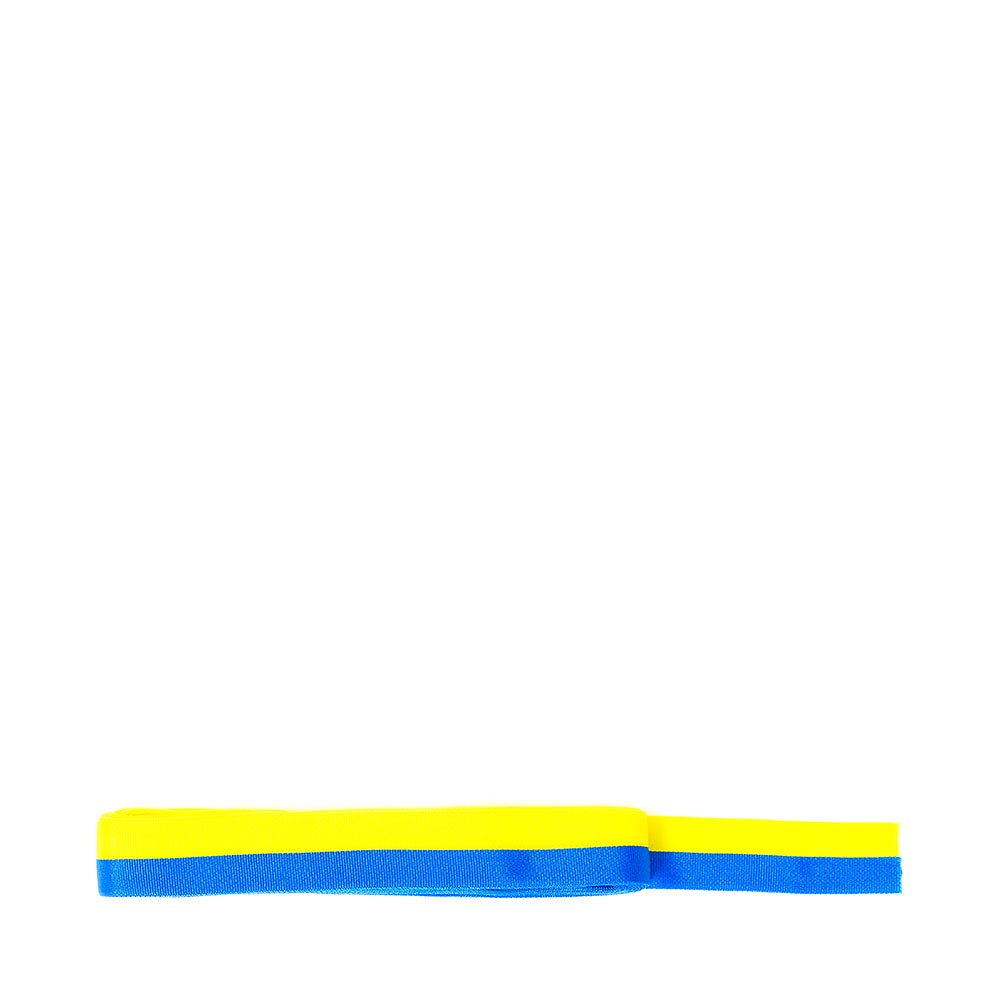 Sverigeband