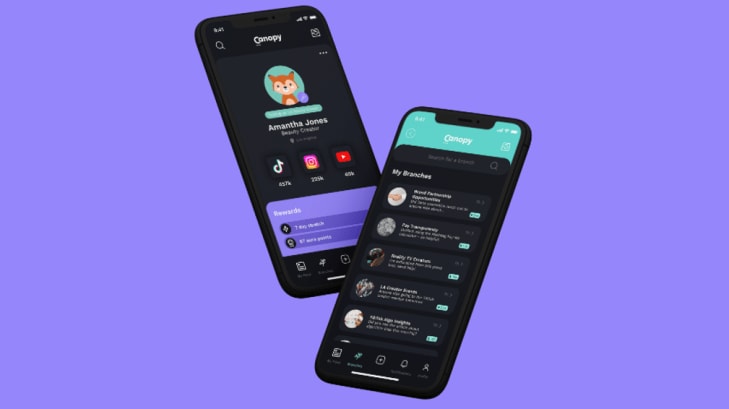 A former TikTok employee is building a social app for content creators to network and spill the tea