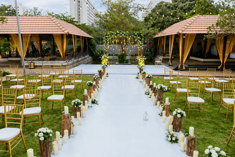 The Lily Pond