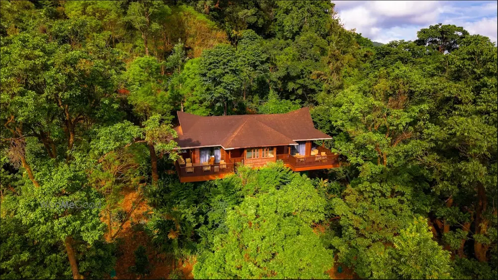 The Tamara Coorg