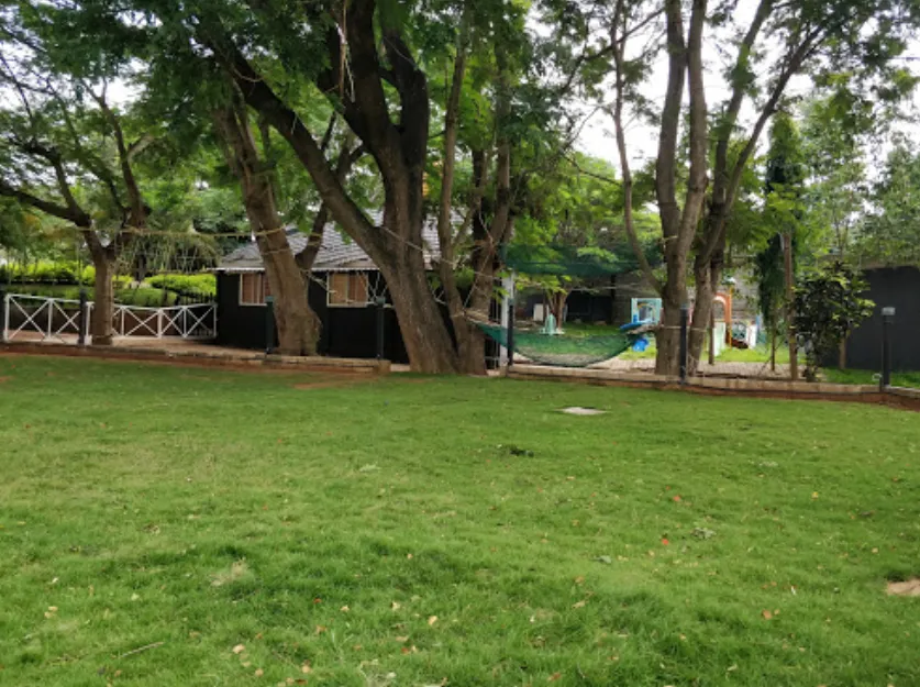 Behind Wood Resort
