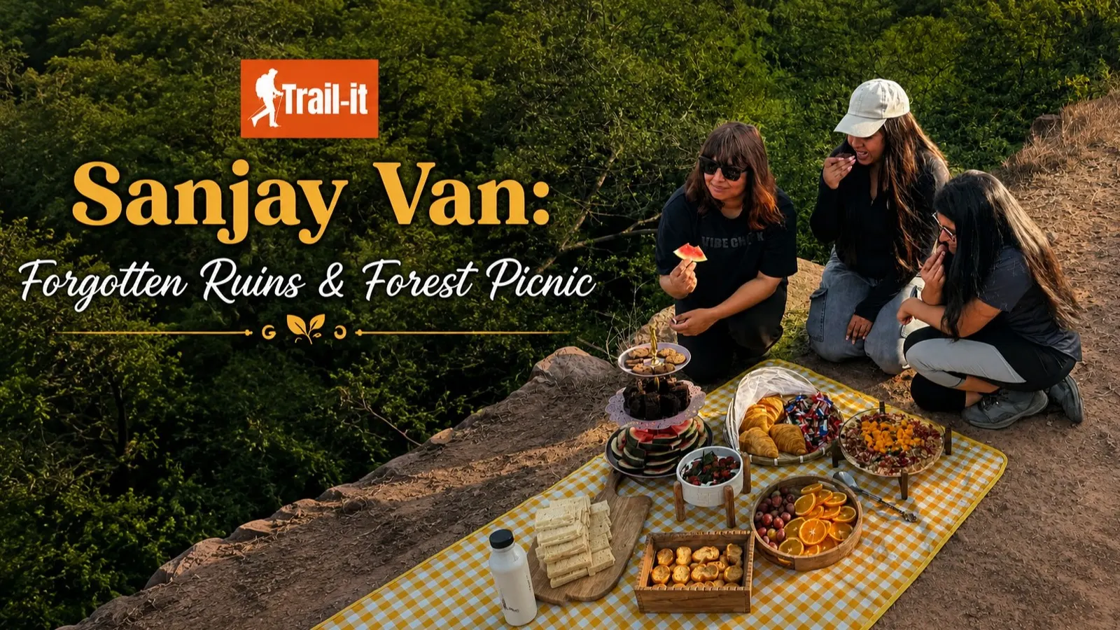 Sanjay Van: Forgotten Ruins & Forest Picnic