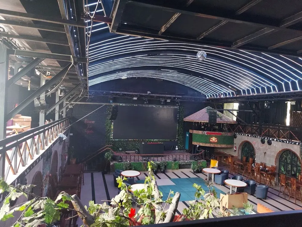 The Jungle Bar