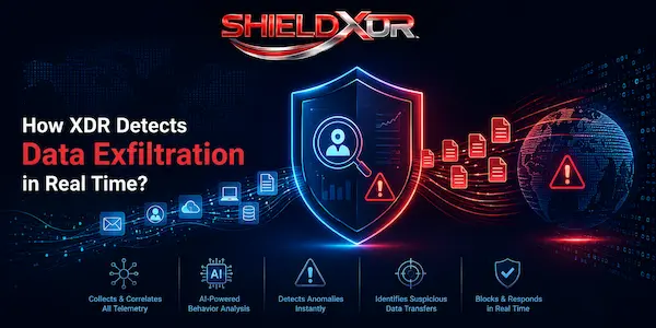 image shows how-xdr-detects-data