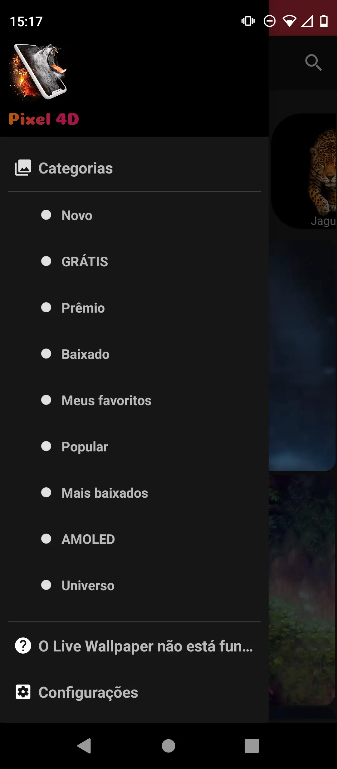 Imagem 5