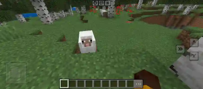 Imagem 2