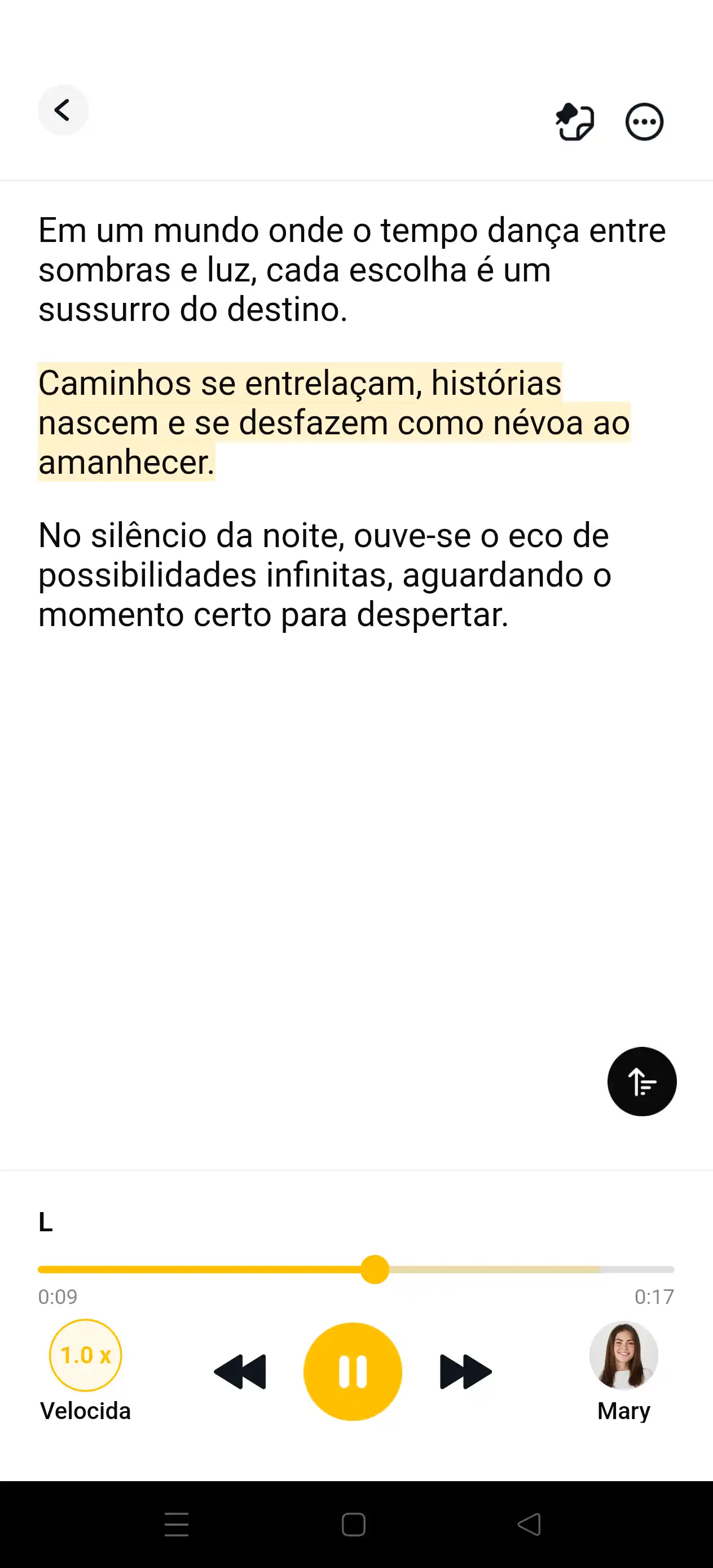 Imagem 3