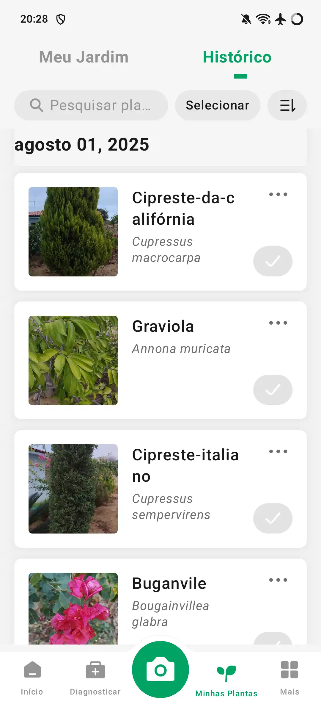 Imagem 3