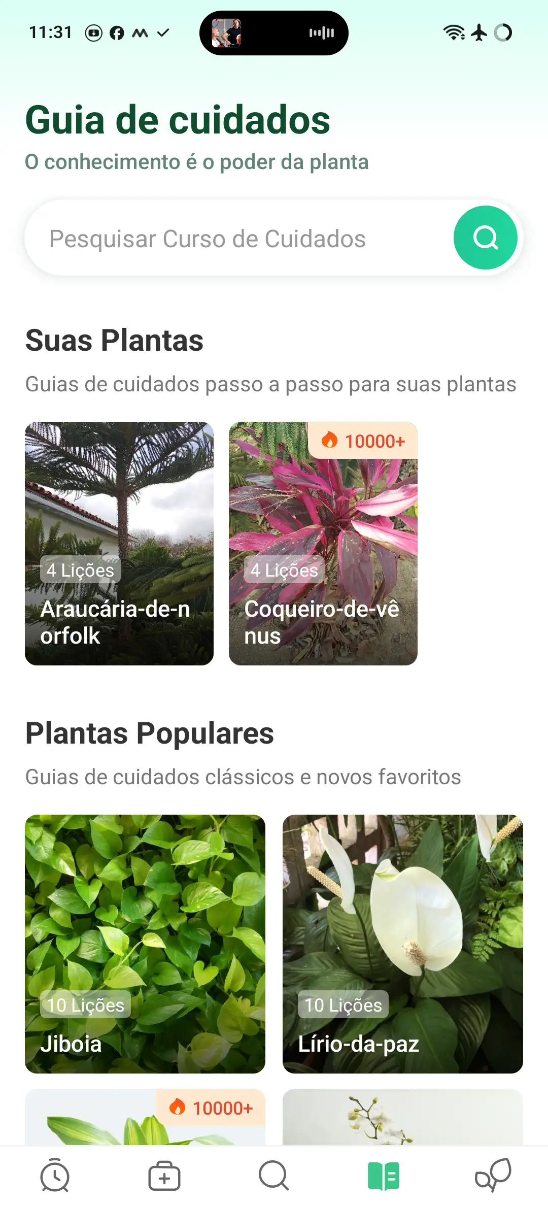 Imagem 2