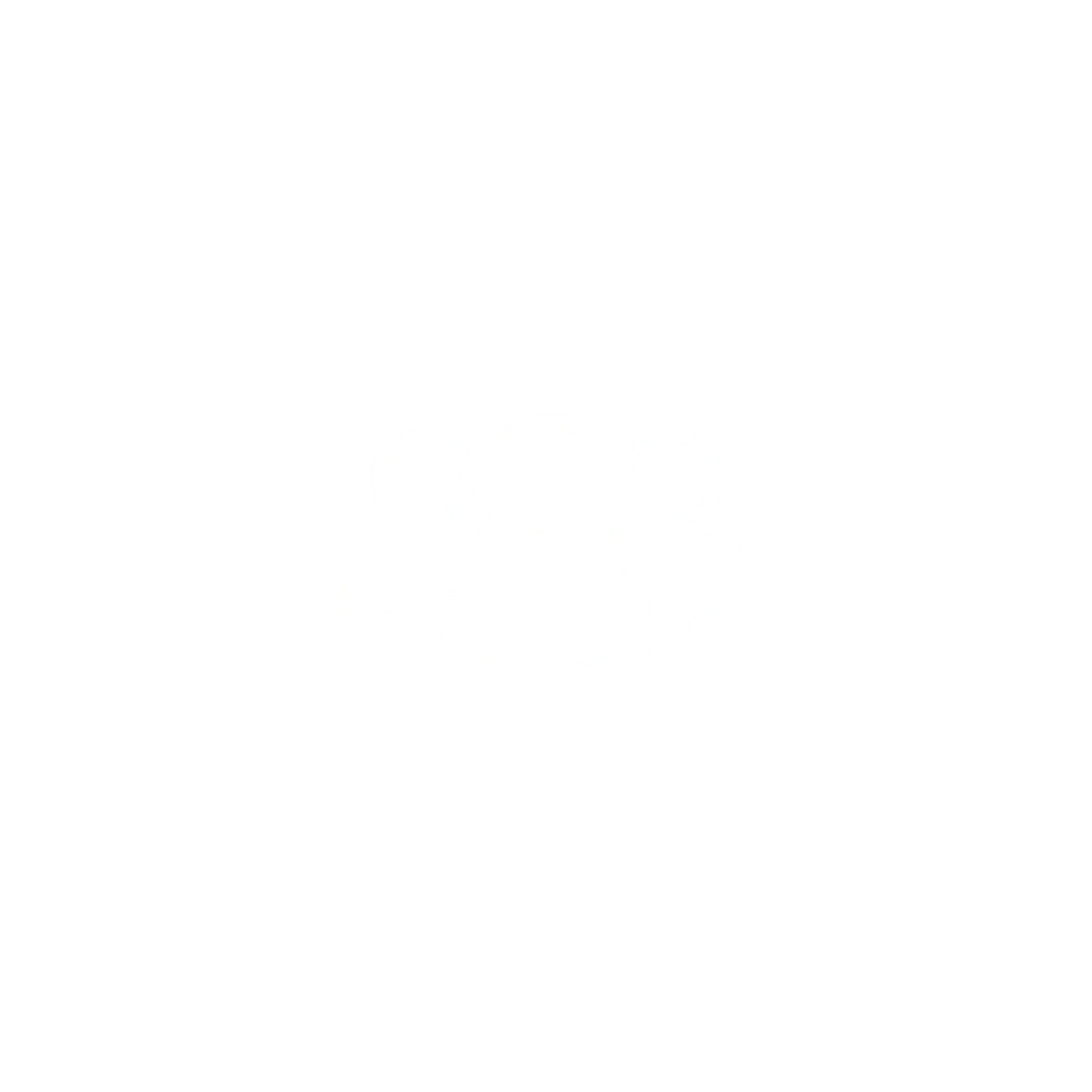 Experienced Team