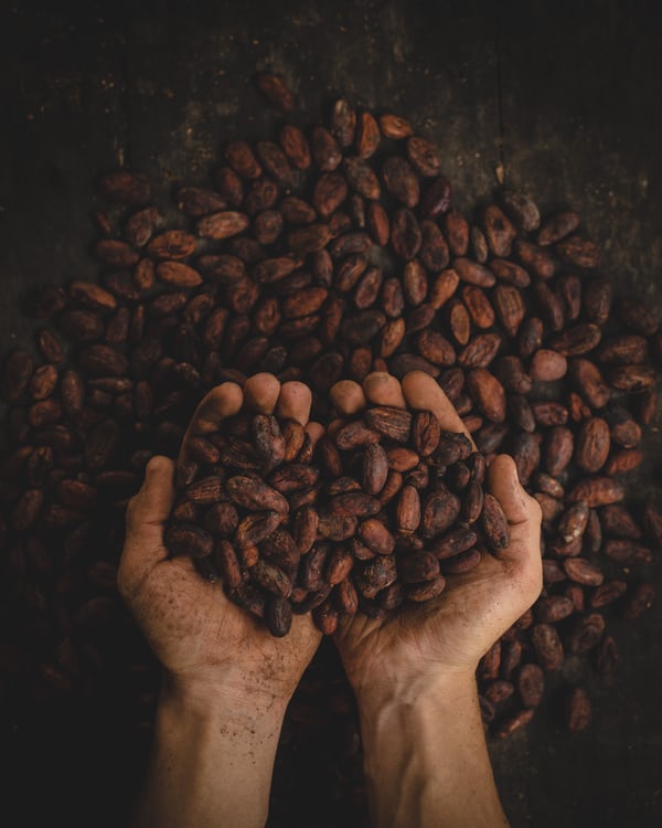 coffee beans(dark)