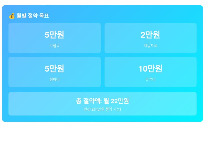 자동차유지비줄이기 월별 절약 목표 인포그래픽