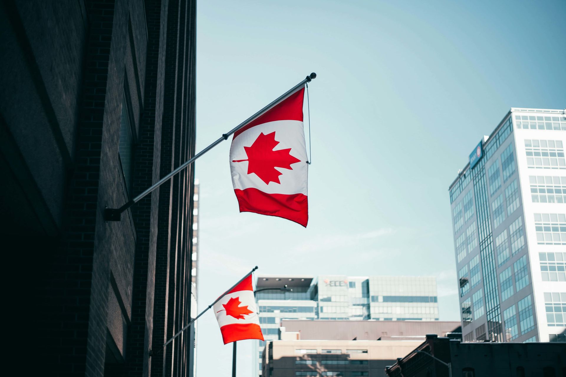 Canadian flags representing our commitment to Canadian businesses