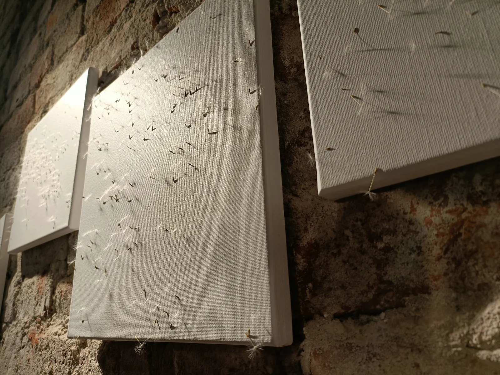 Untitled (detaliu 1)