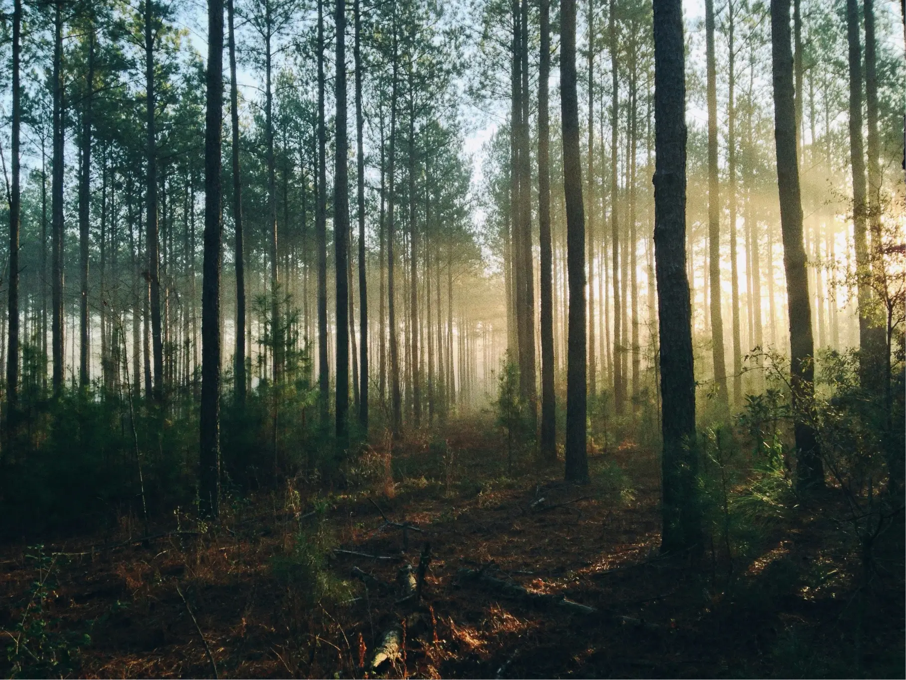 steven_kamenar_mmjx78v7xs8_unsplash_1x.webp