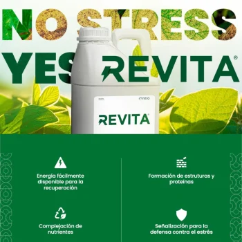 REVITA