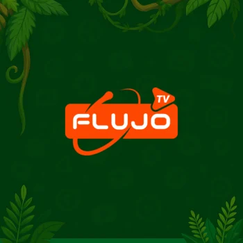 FLUJO TV 1 AÑO