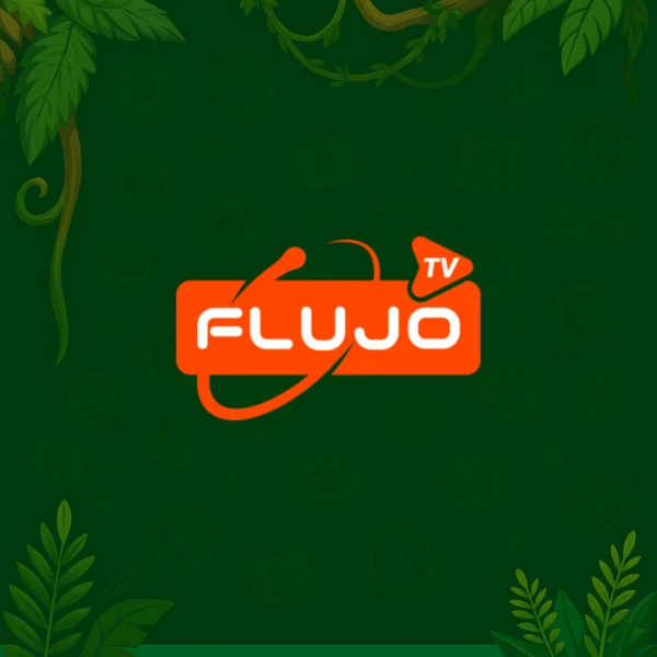 FLUJO TV 1 AÑO