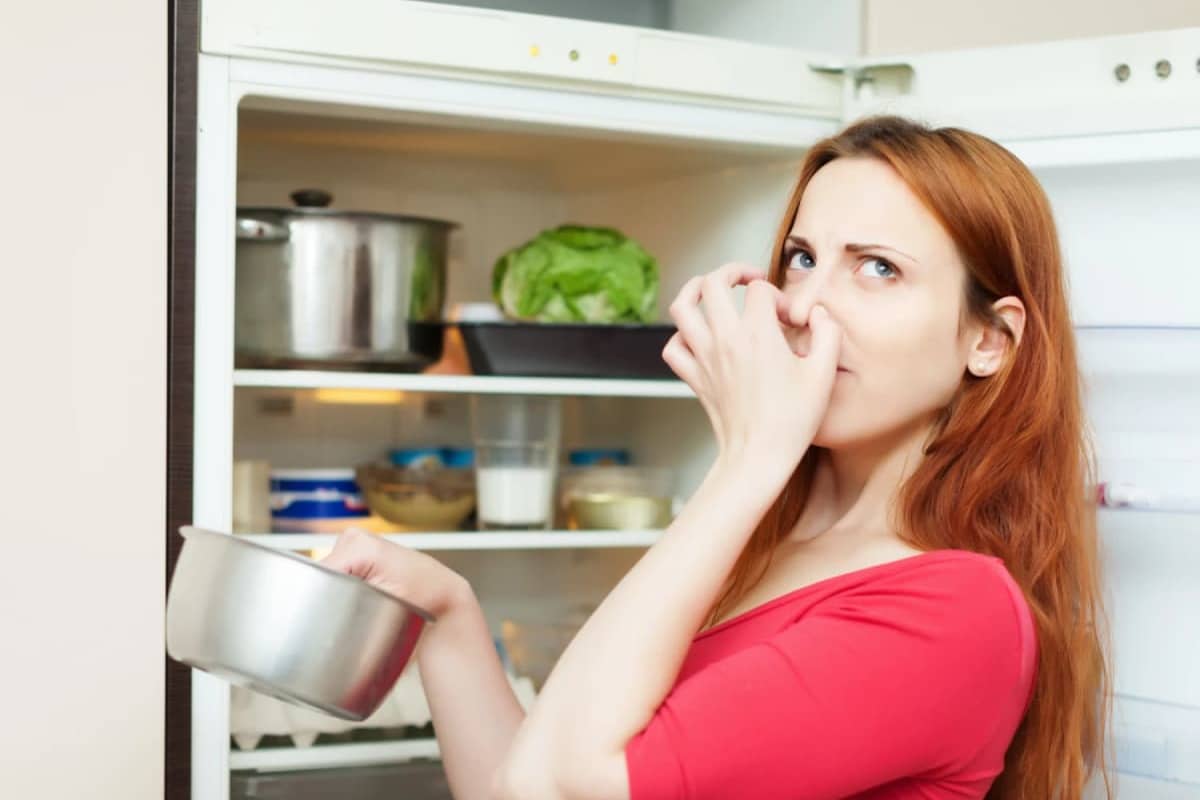 Mi refrigerador no enfría: 5 causas y qué hacer
