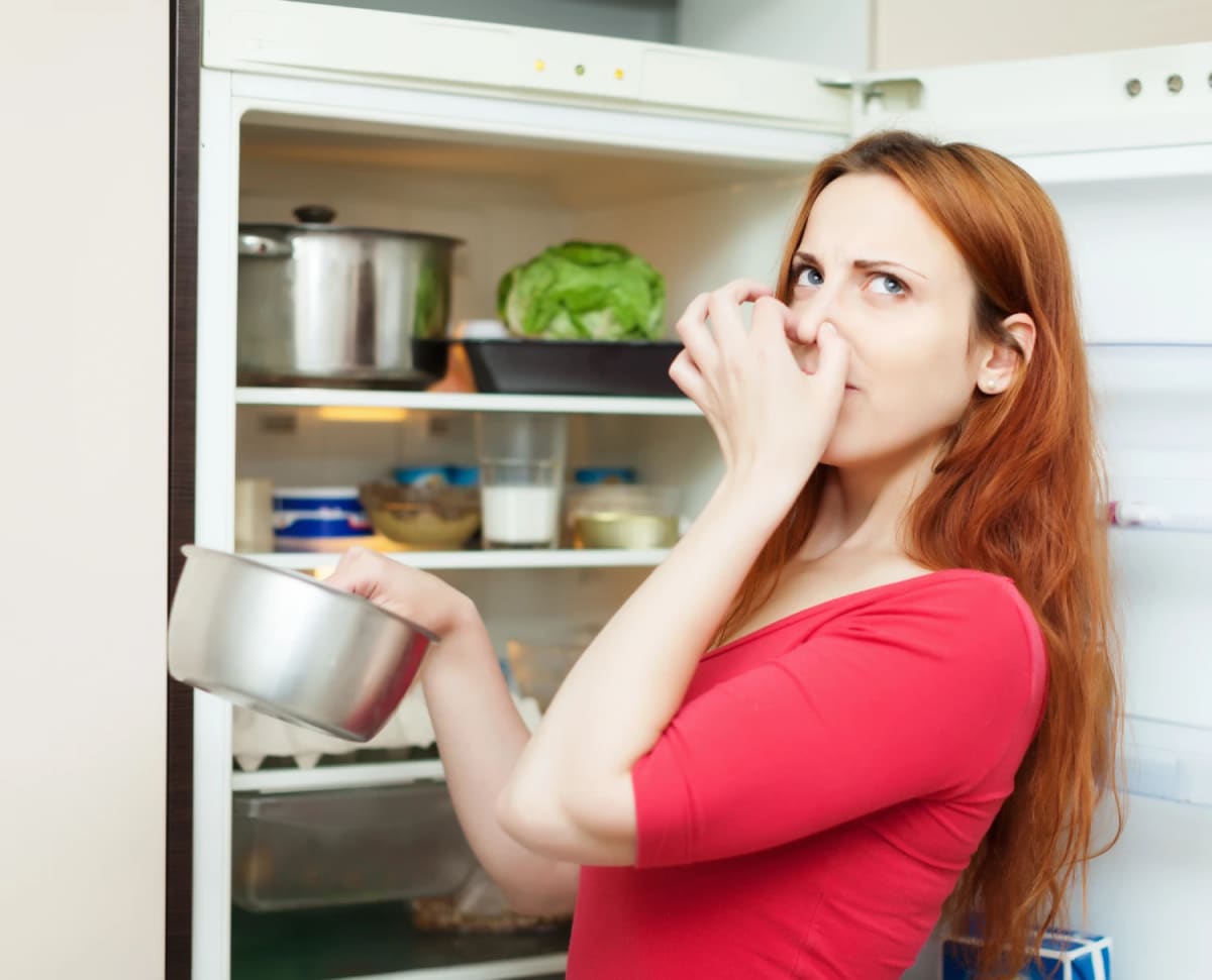 Refrigerador que no enfría: 5 fallas comunes que debes con