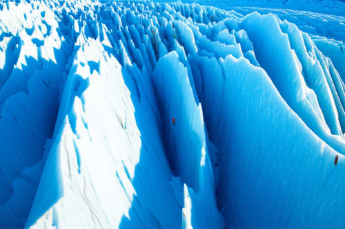 Hidden Giants of Ice: You Won't Believe Where India's Most Massive Glaciers Are Hiding!